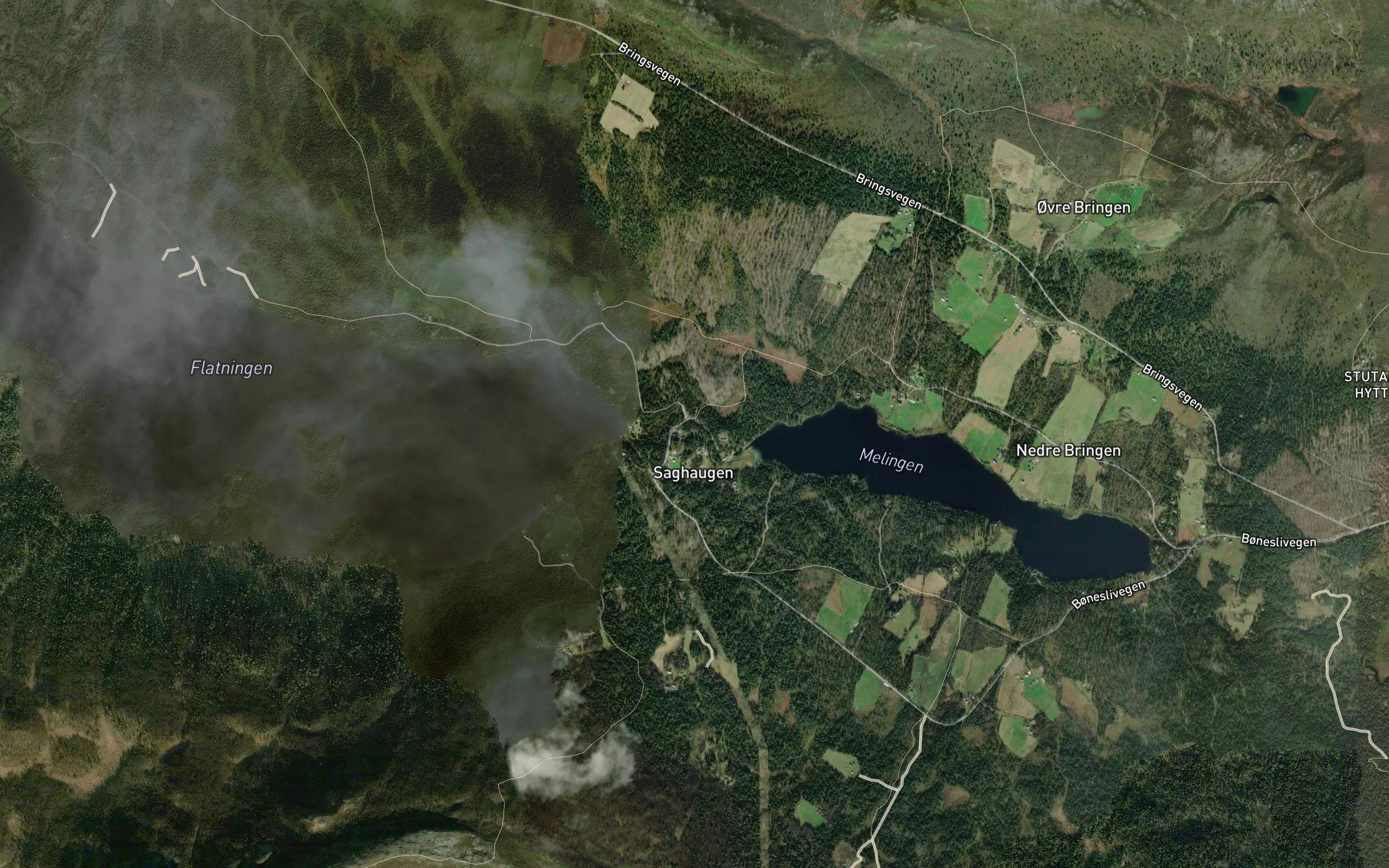Flokka