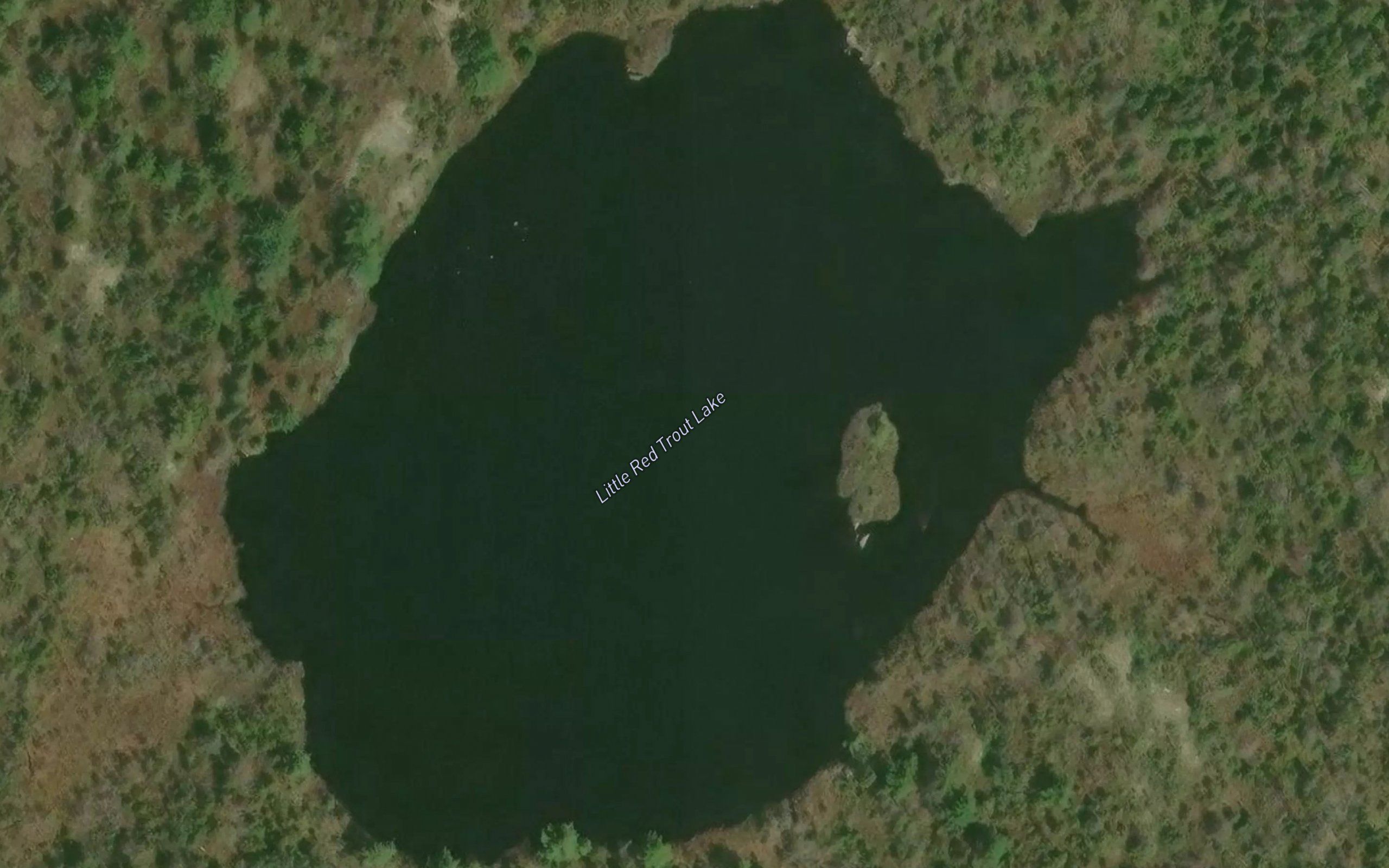 Little Red Trout Lake