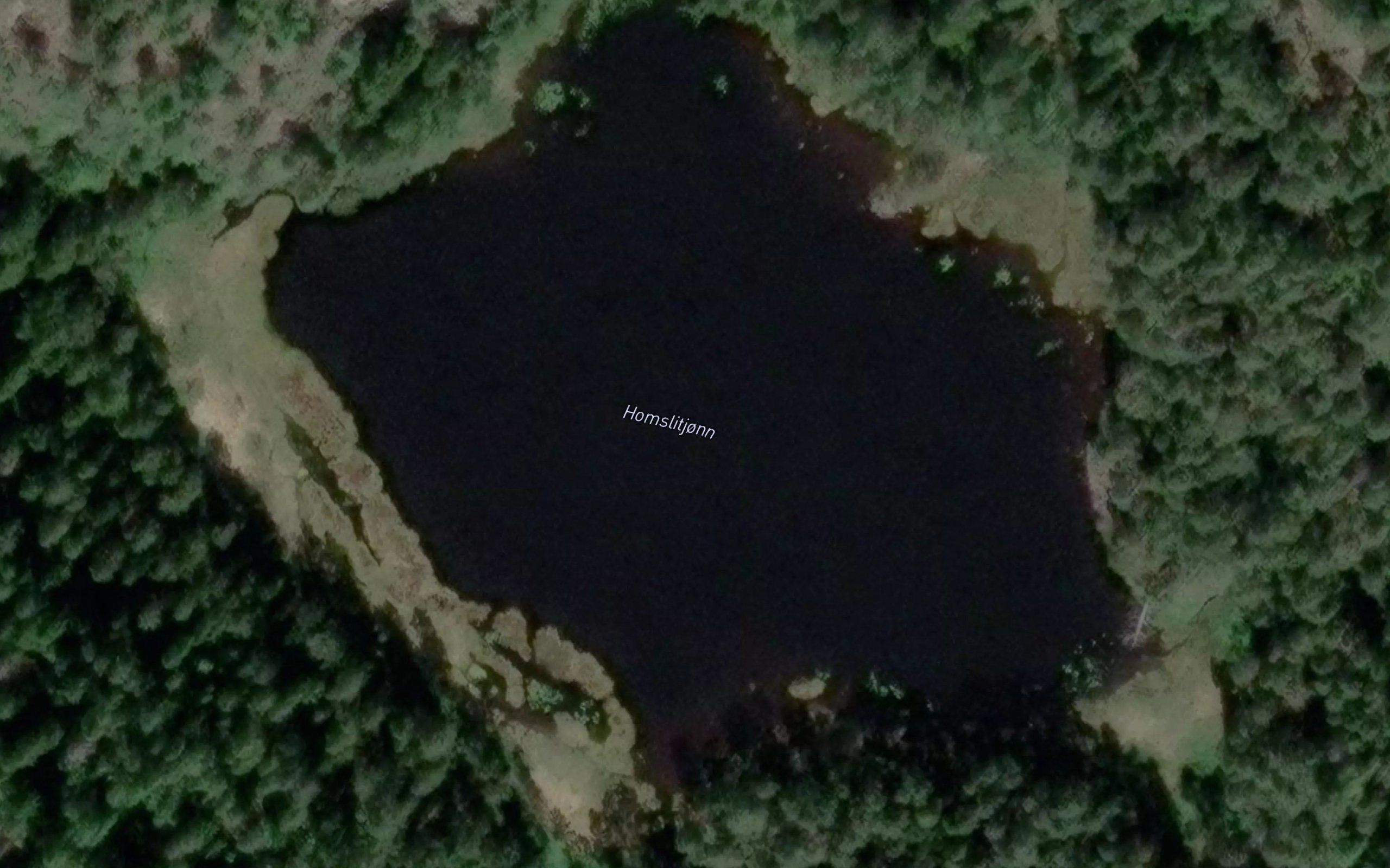 Homslitjonn