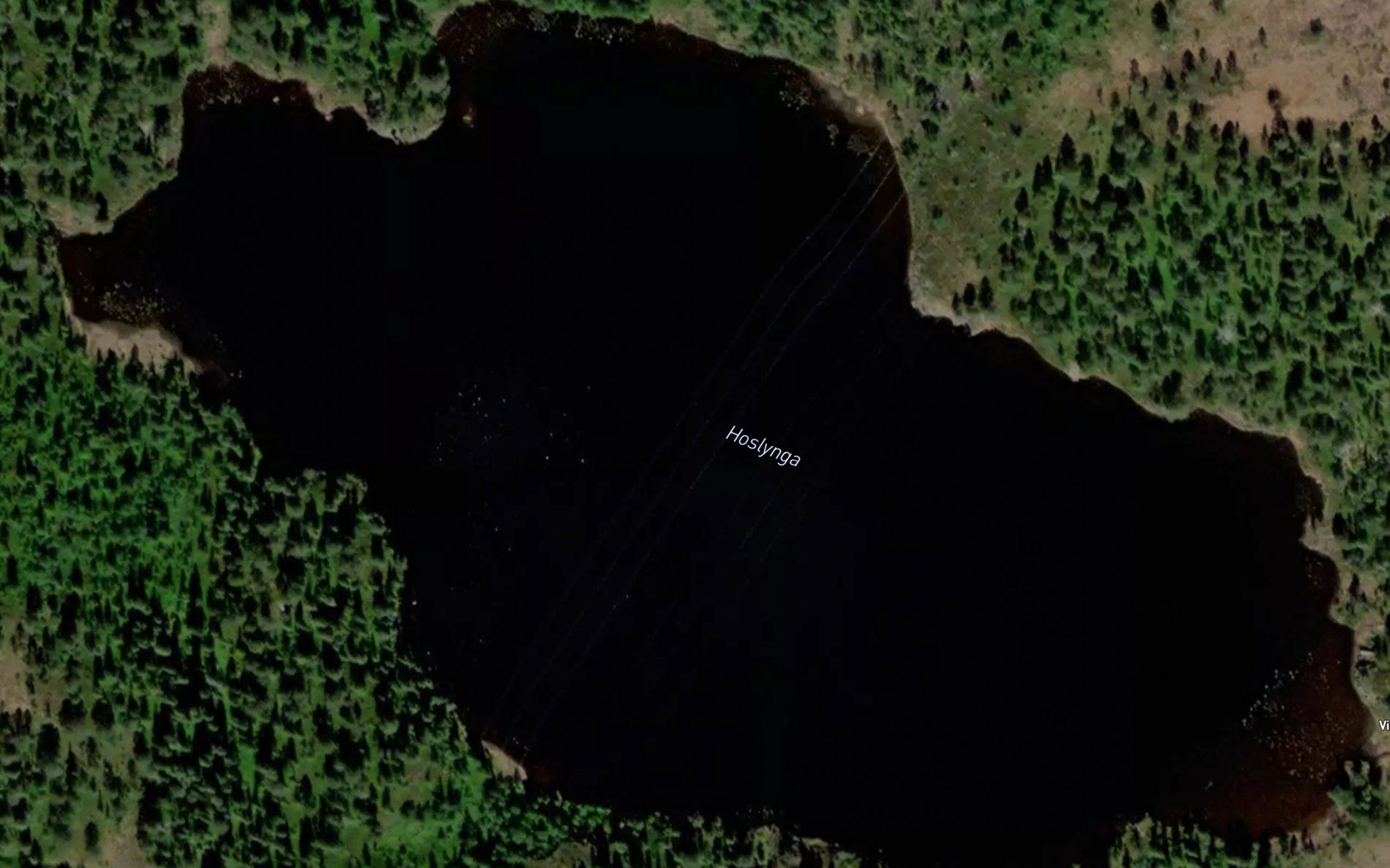 Hoslynga