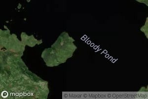 Bloody Pond