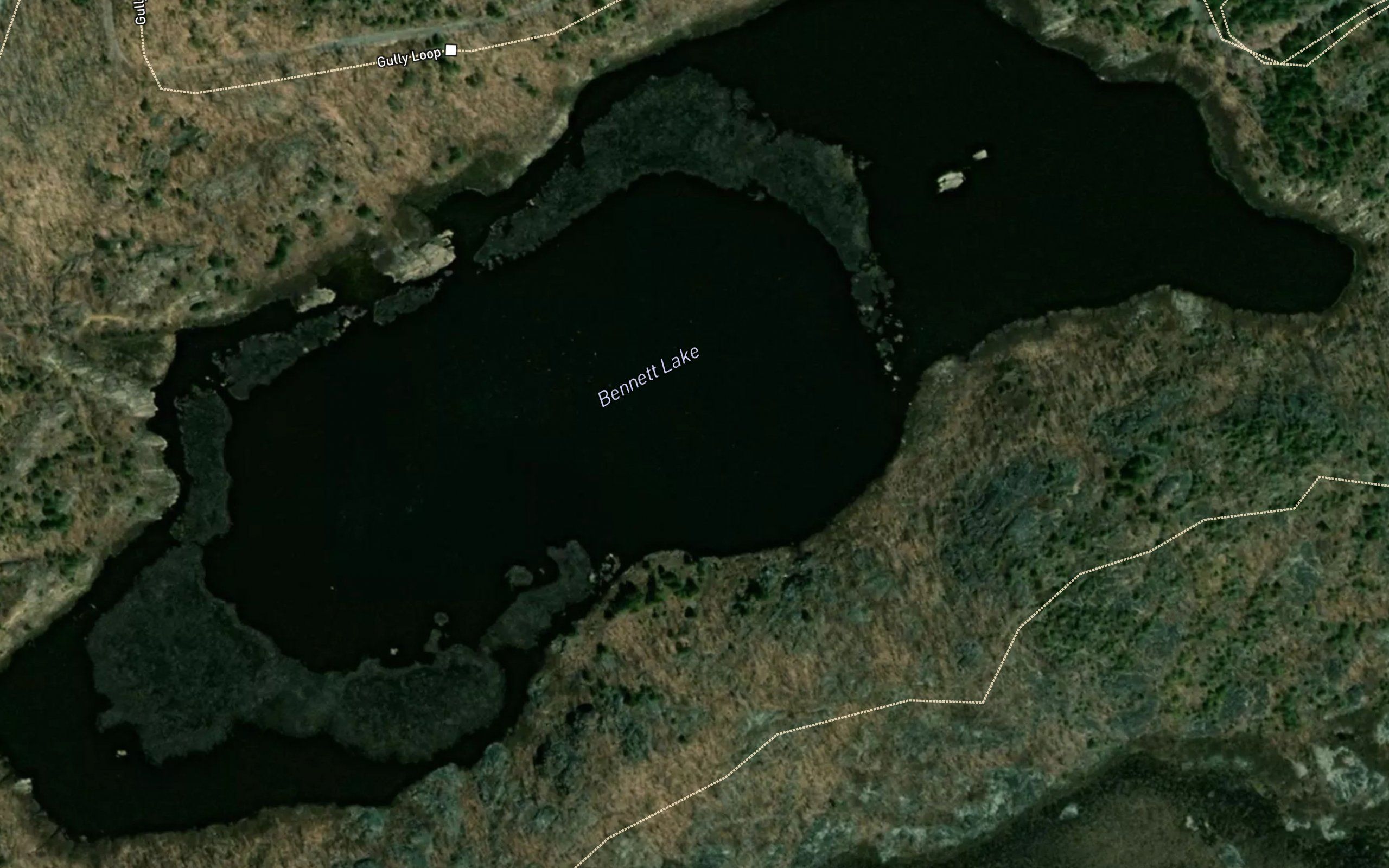 Bennett Lake
