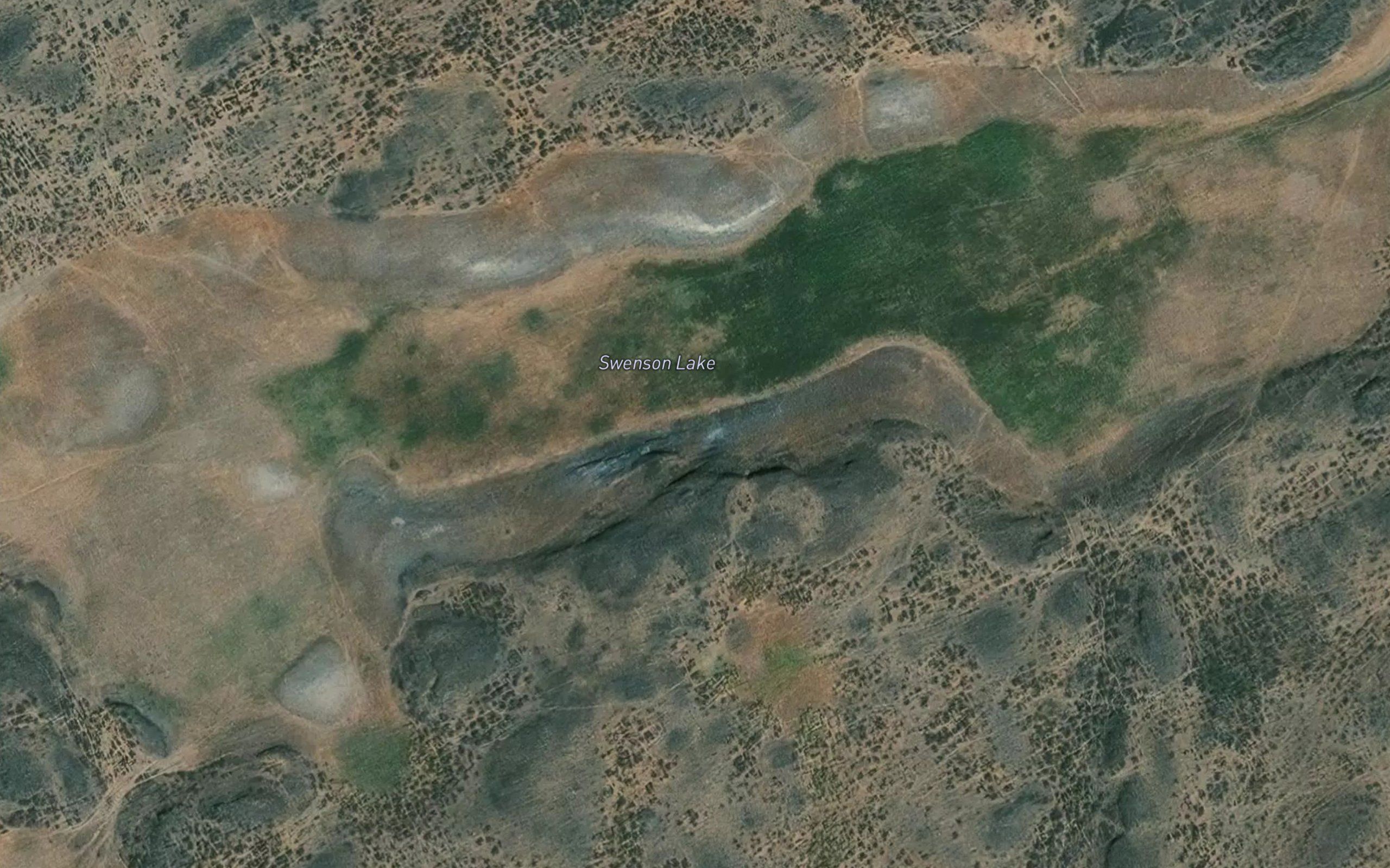 Swenson Lake