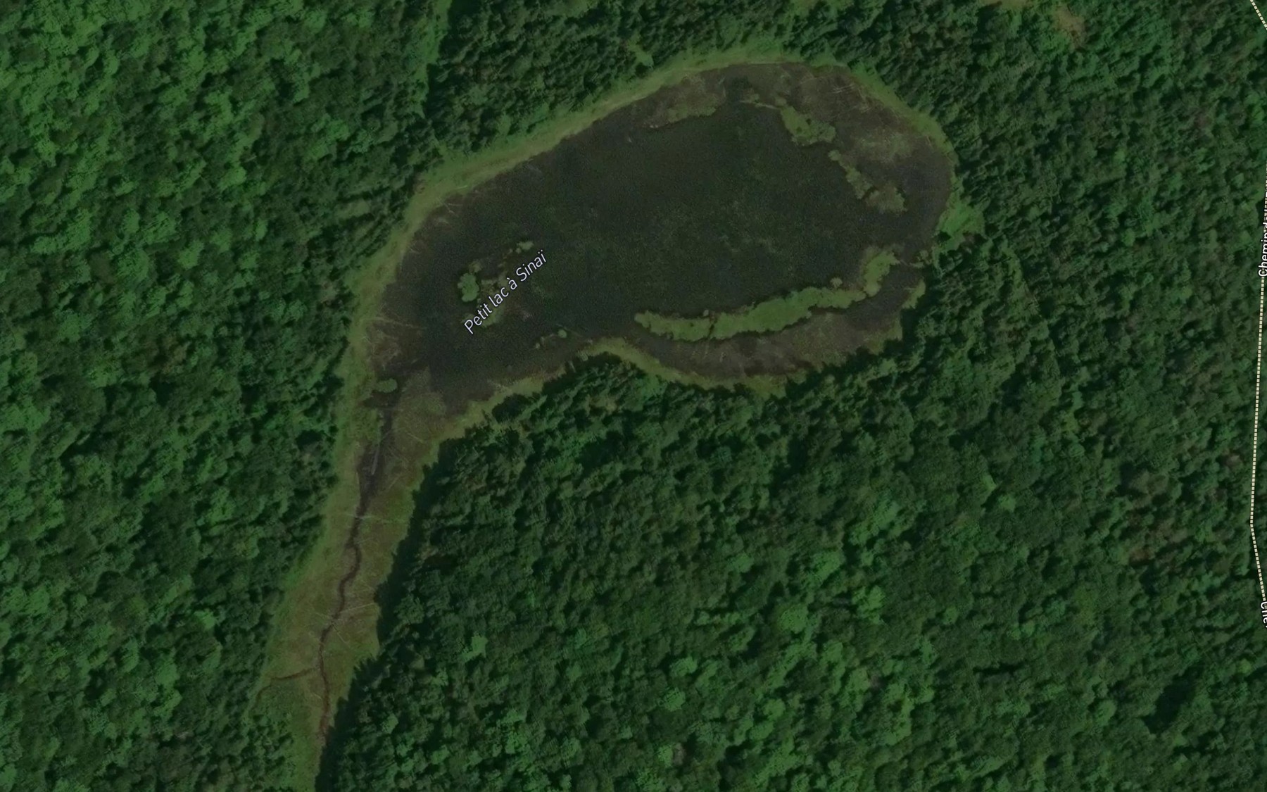 Satellite map of the Petit lac a Sinai