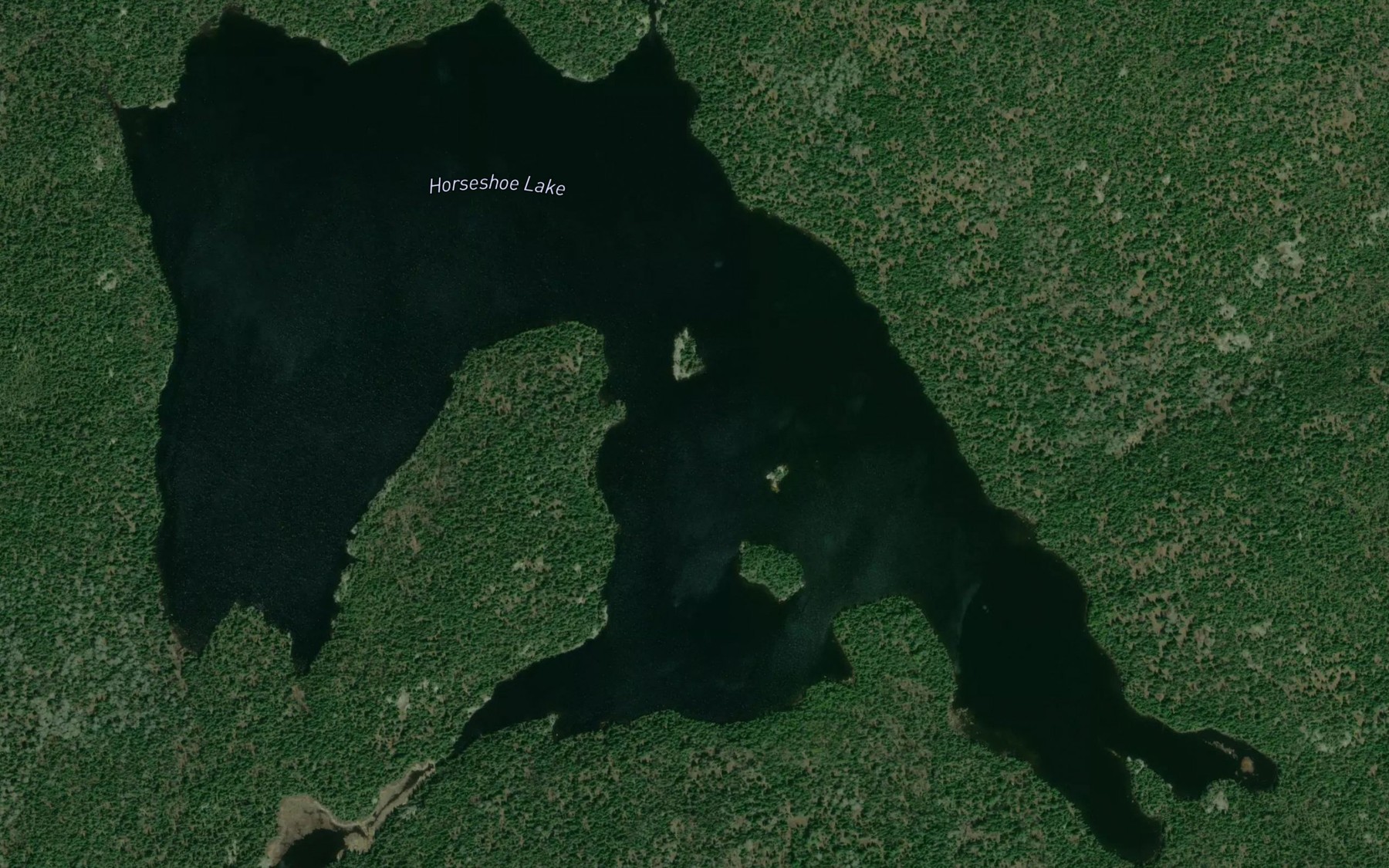Satellite map of the Horseshoe Lake