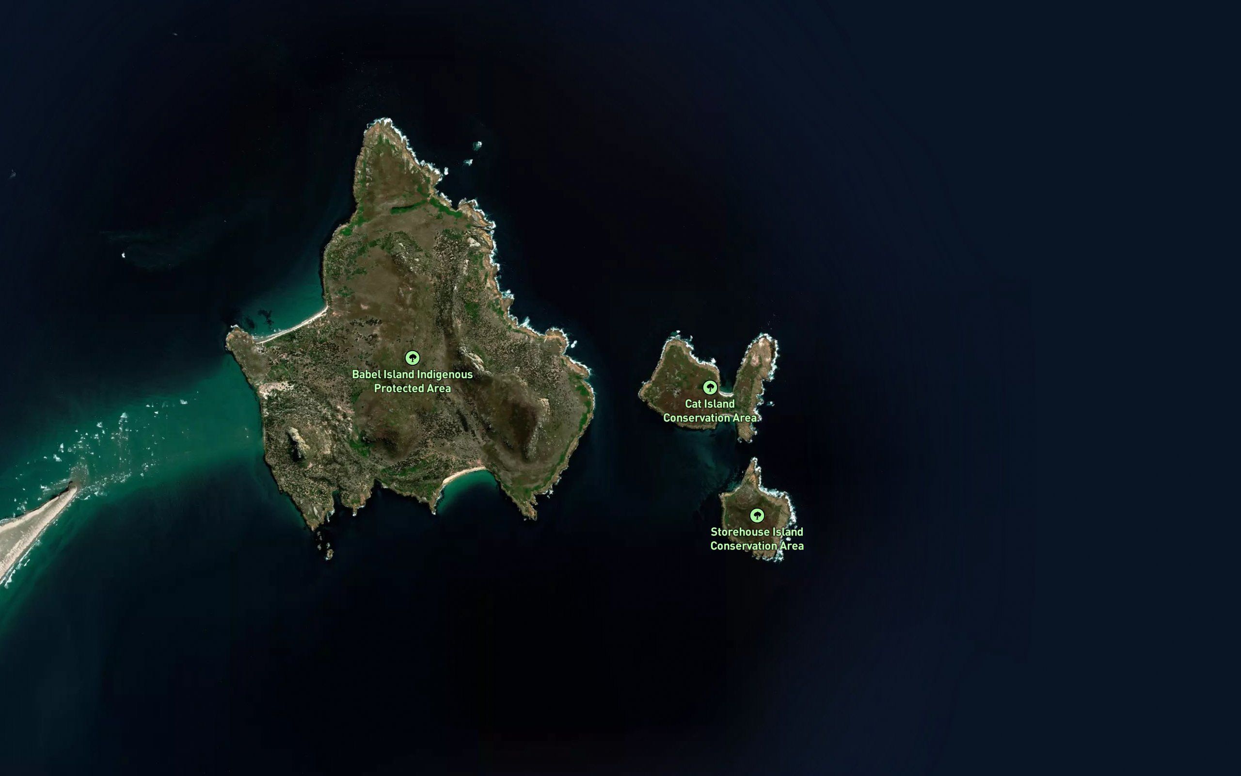 Cat Bay