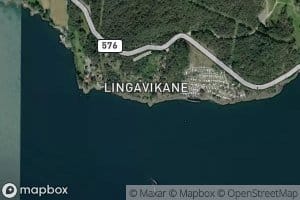 Lingavikane