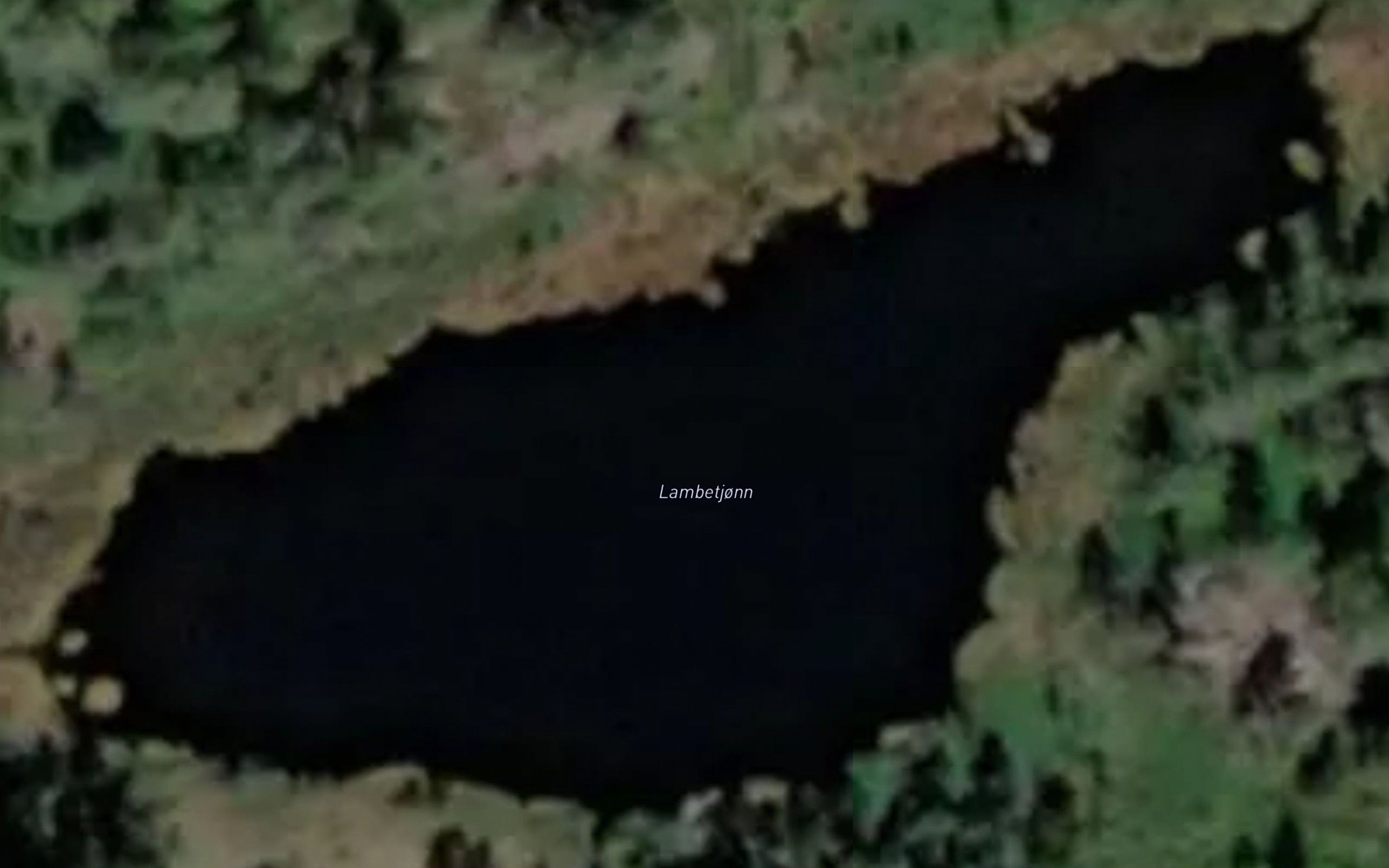 Lambetjorn