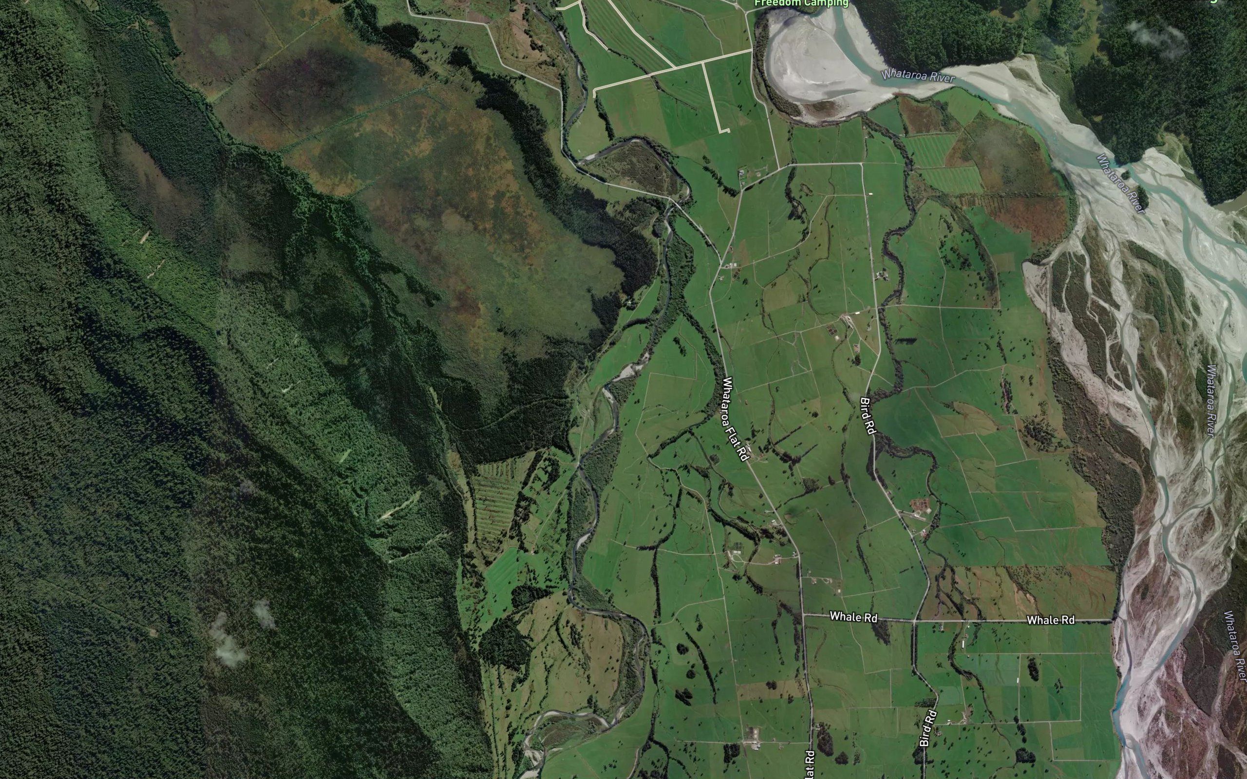 Whale Creek
