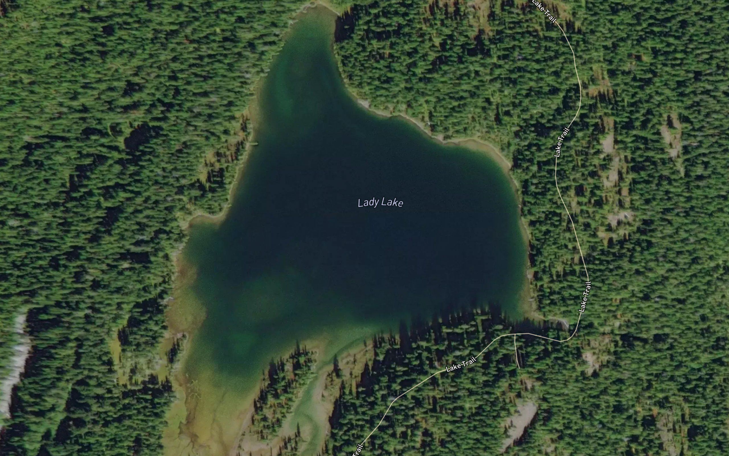 Lady Lake