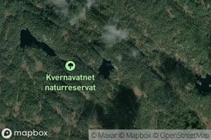 Kraketjorn
