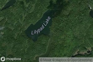Lilypad Lake