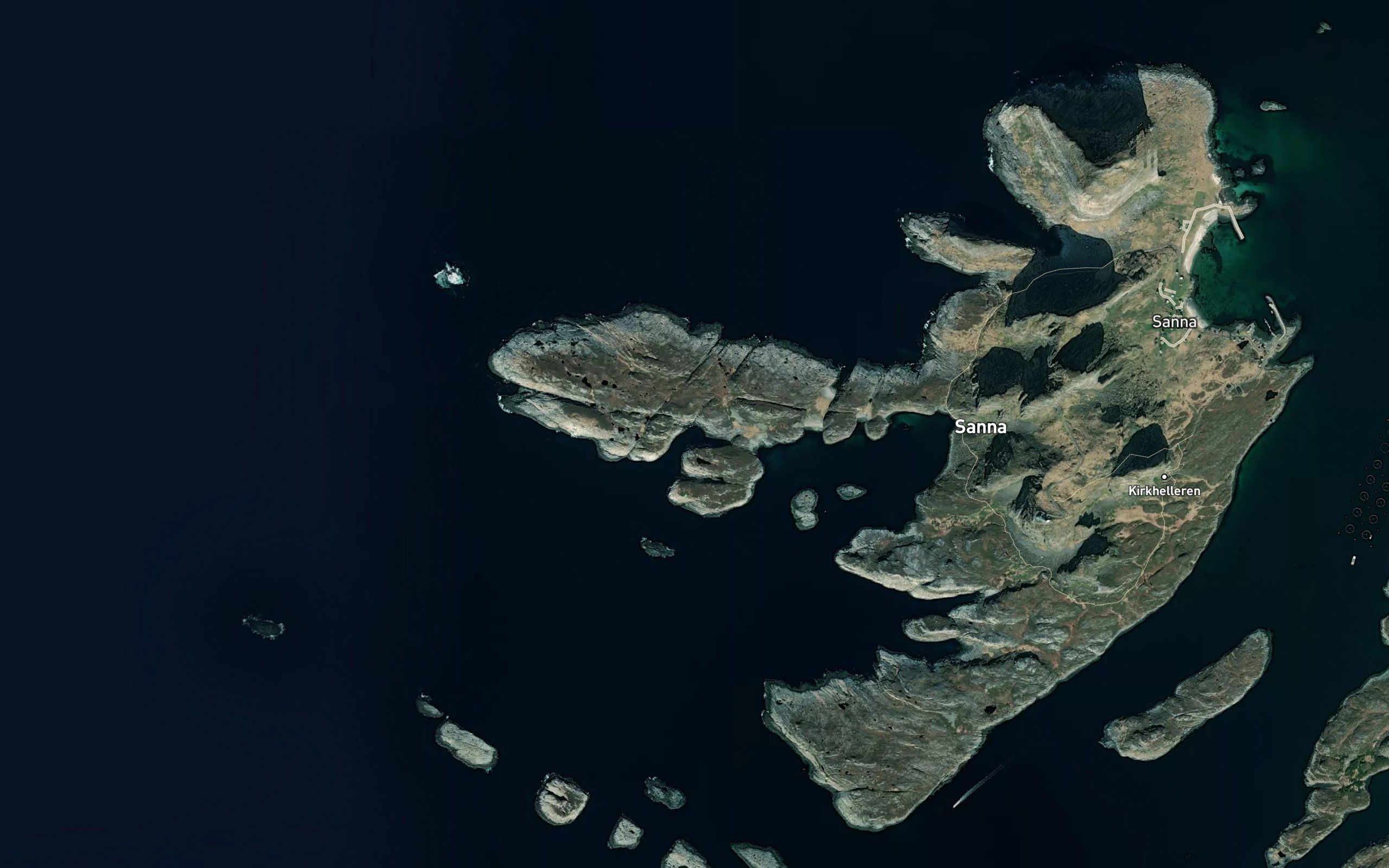 Trongvika