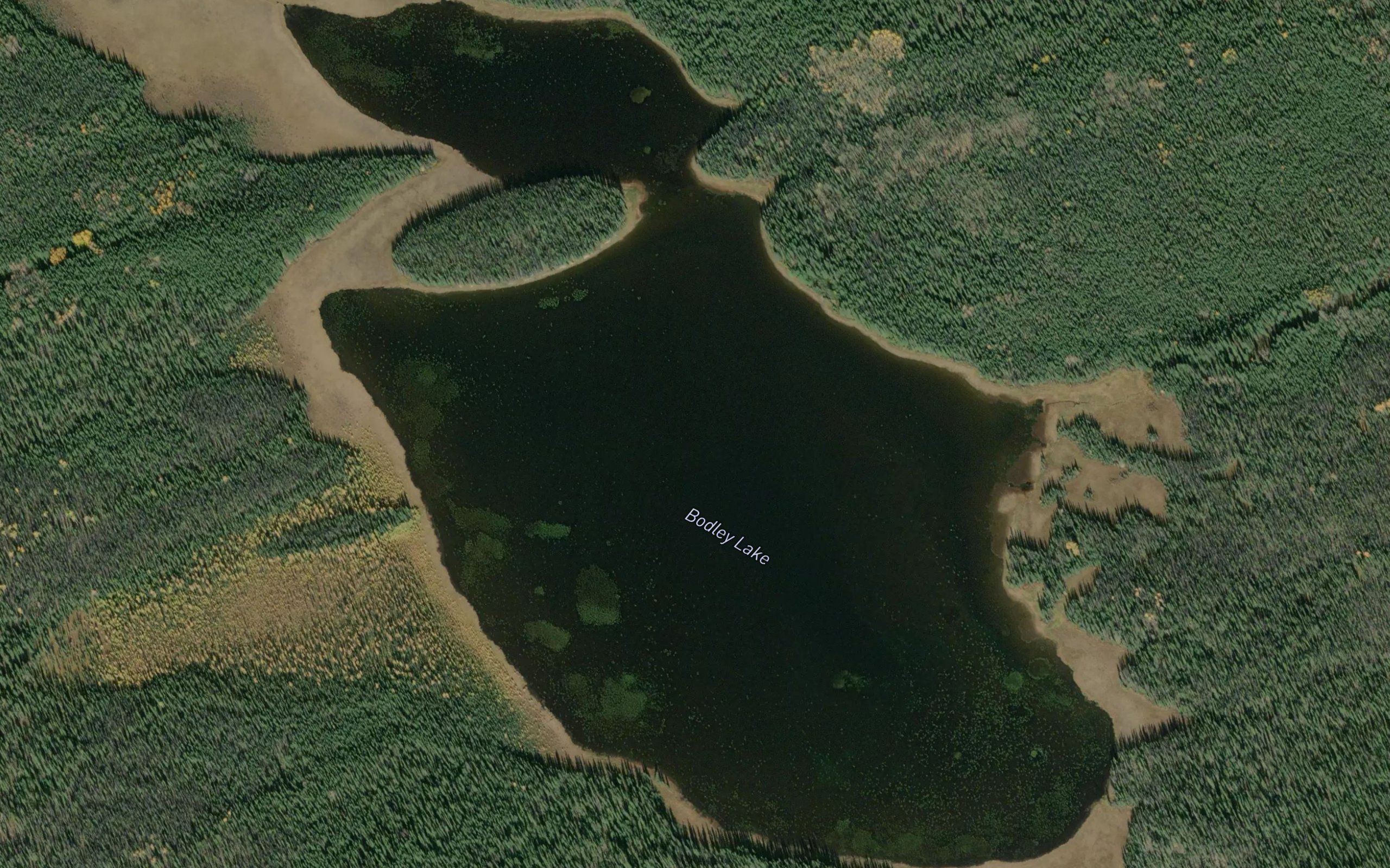 Bodley Lake