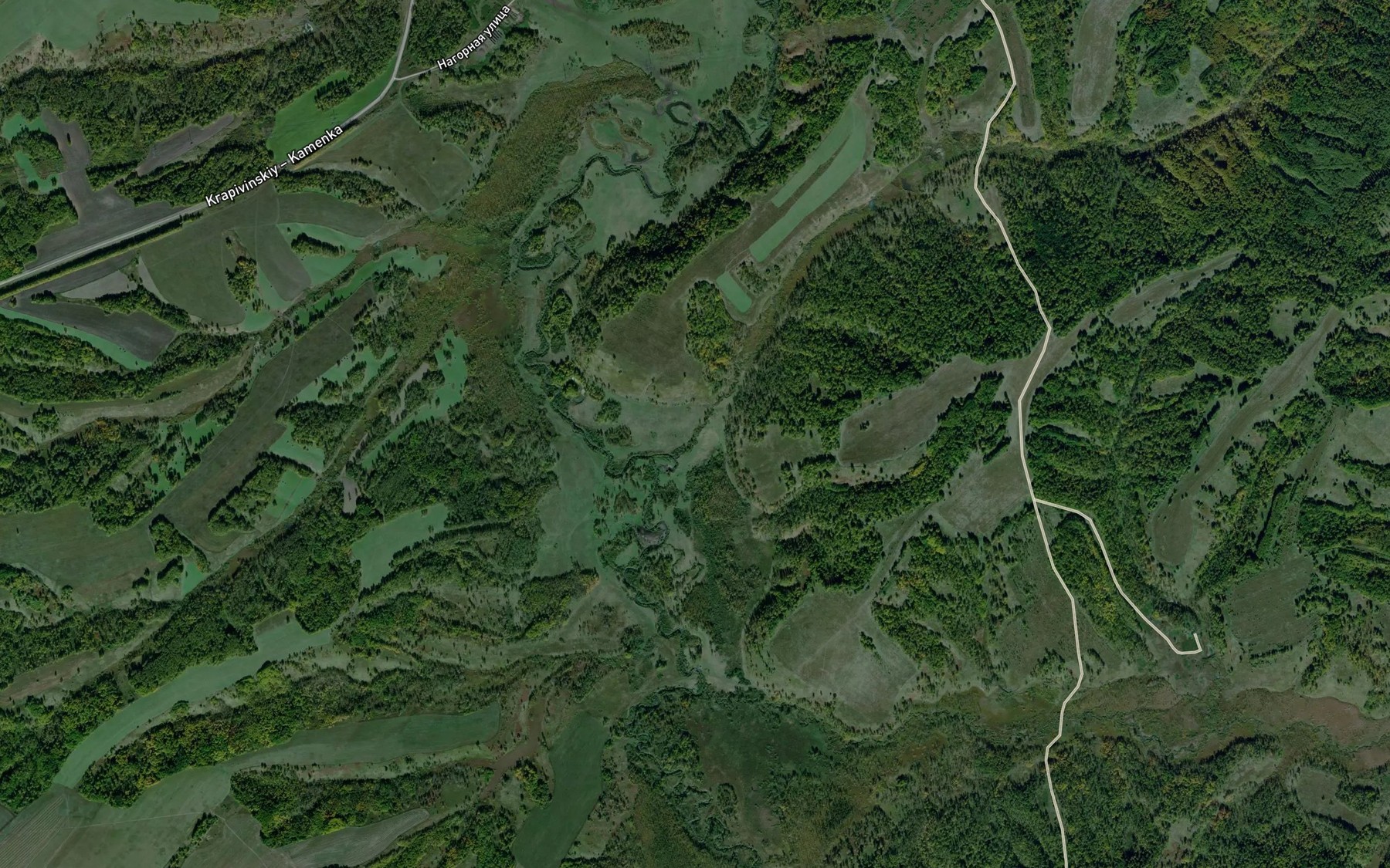 Satellite map of the Mulevka