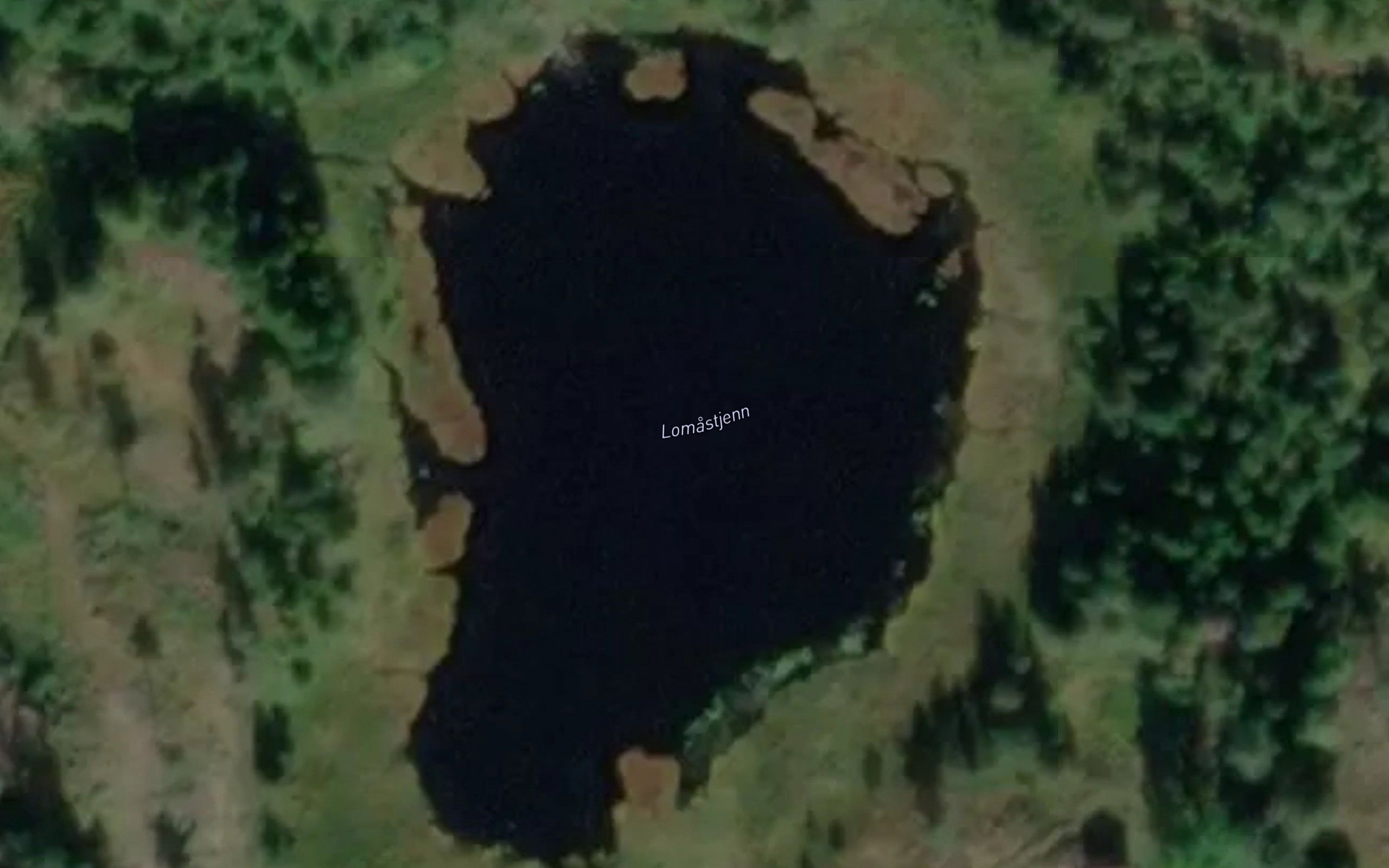 Lomastjenn