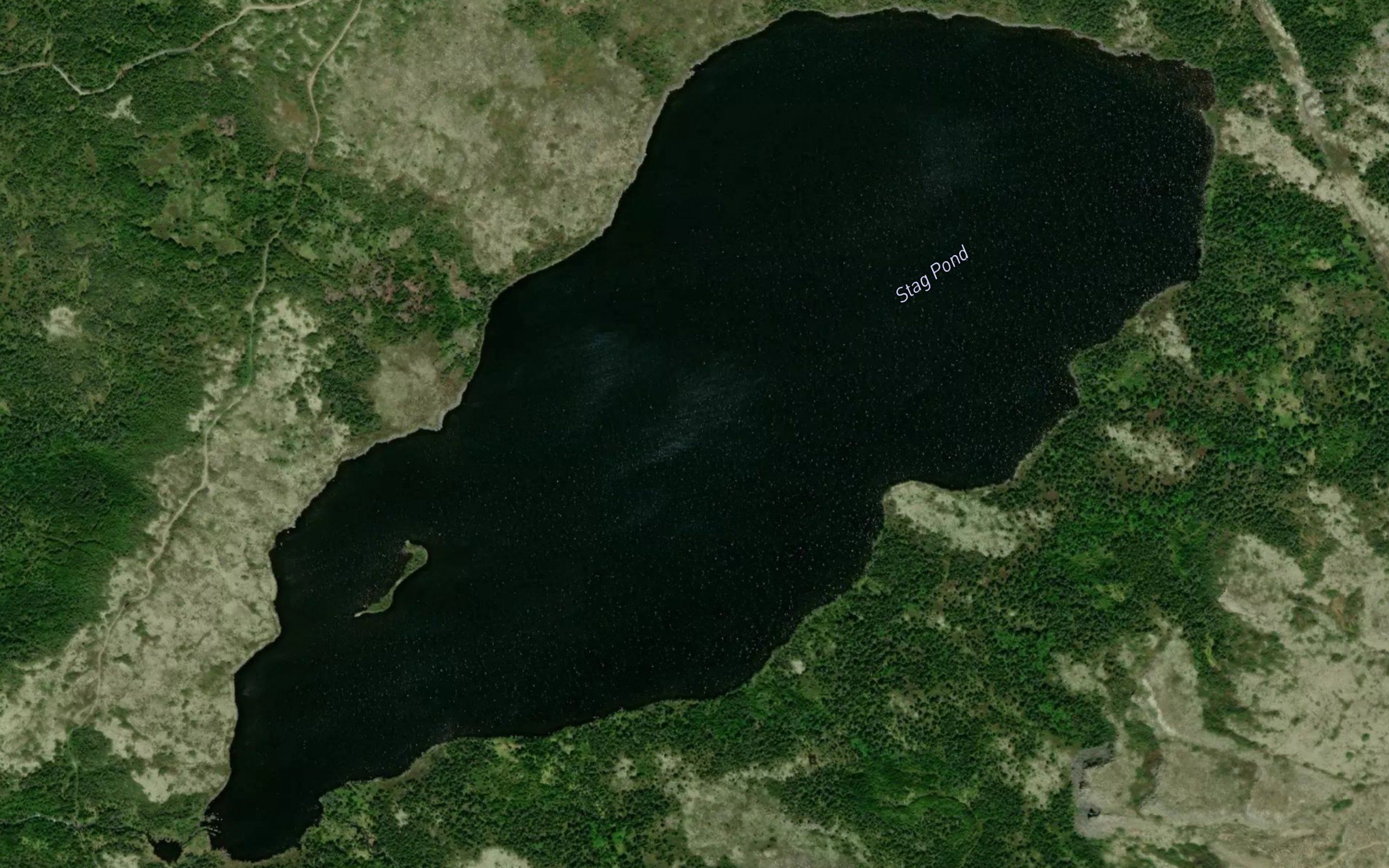 Stag Pond