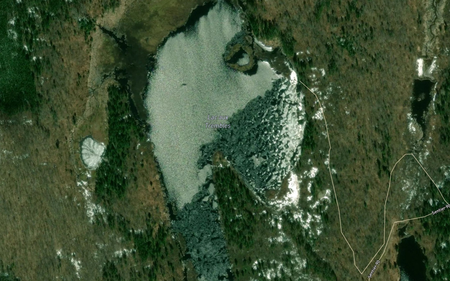 Satellite map of the Lac aux Trembles