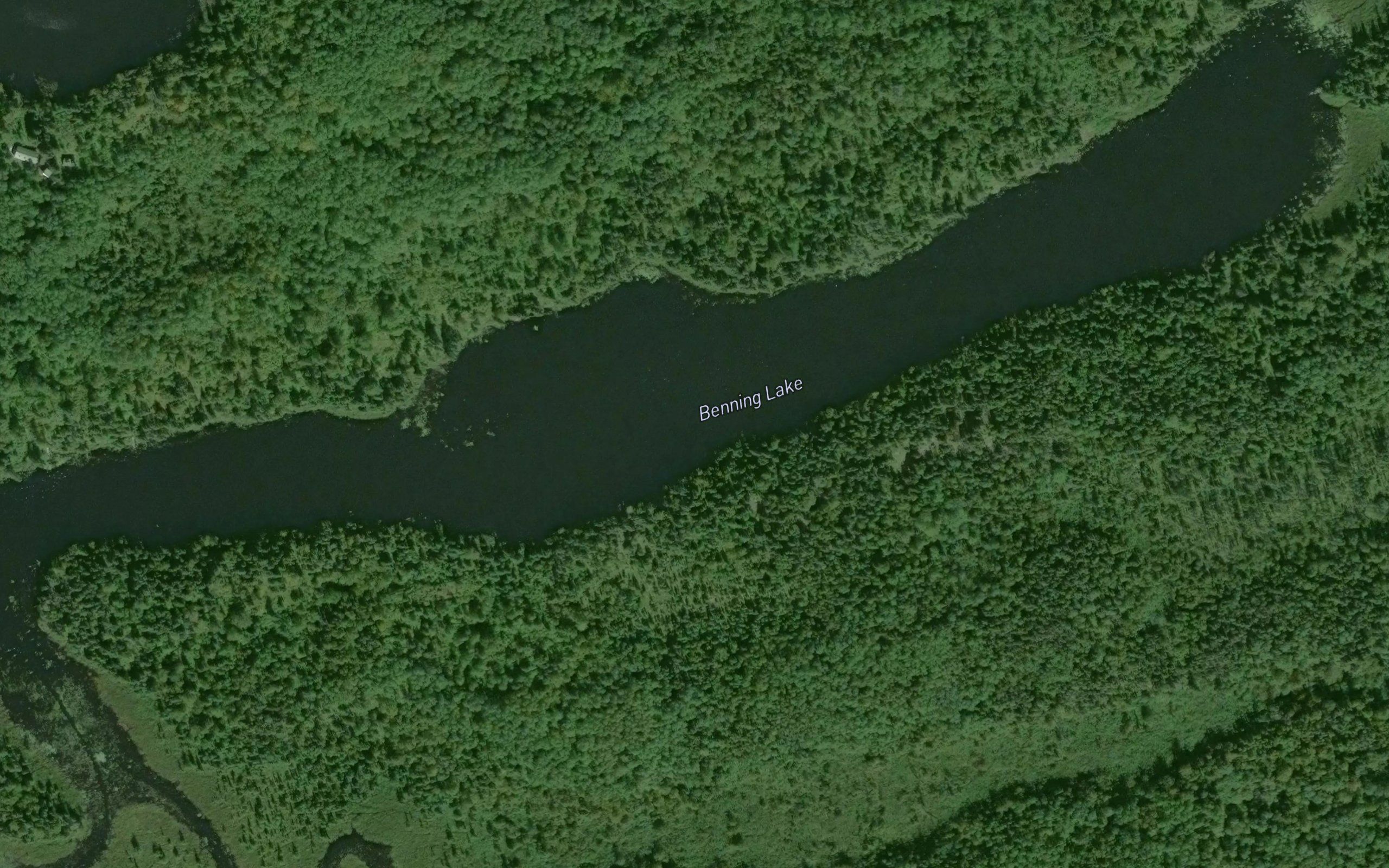 Benning Lake