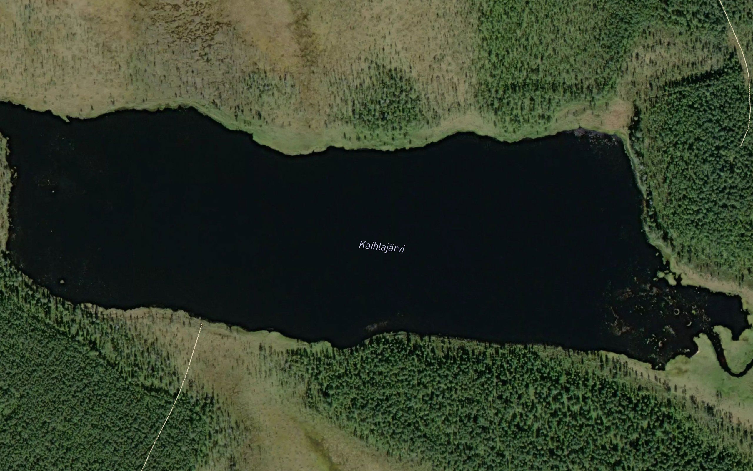 Salmijoki