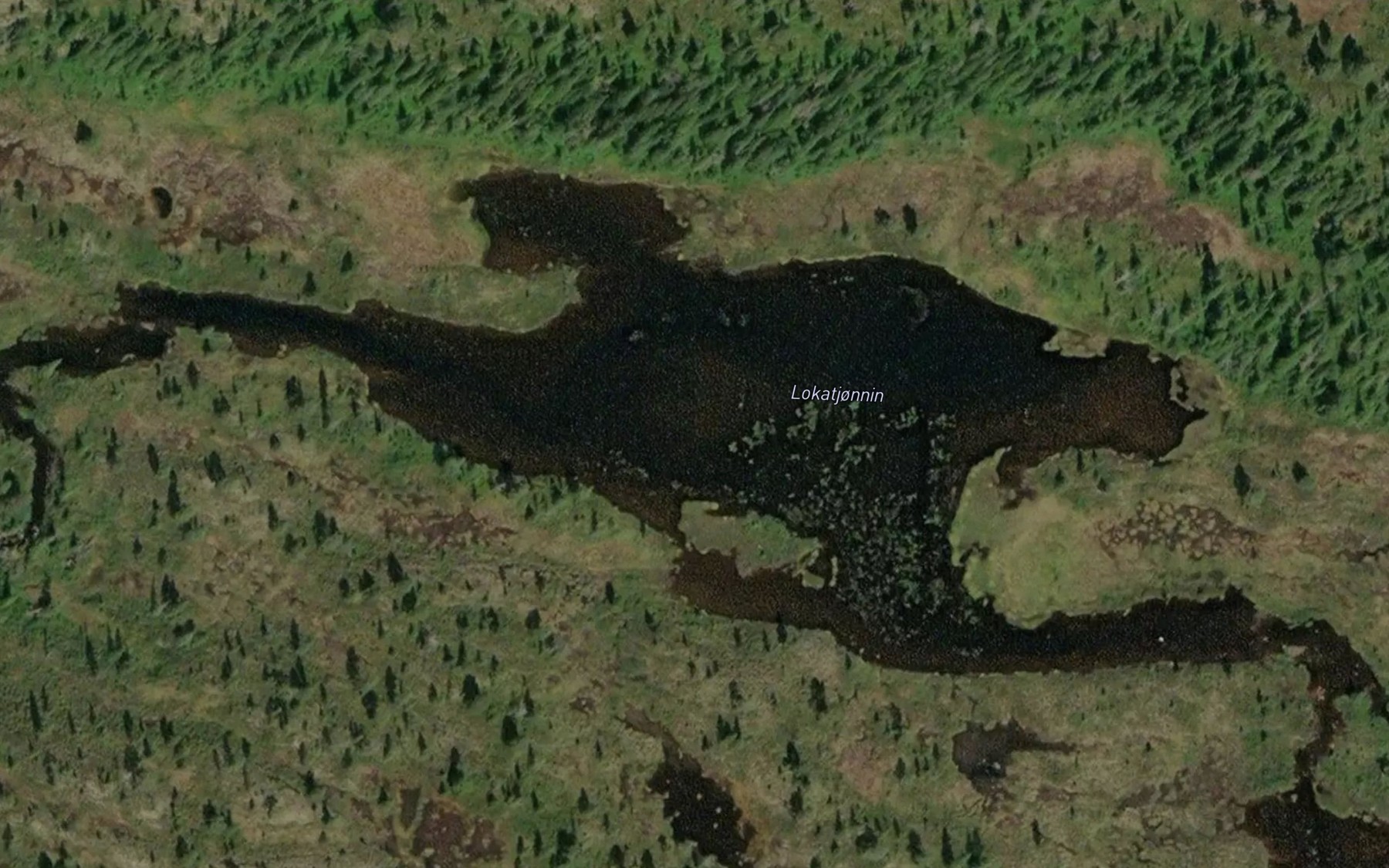 Satellite map of the Lokatjonnin