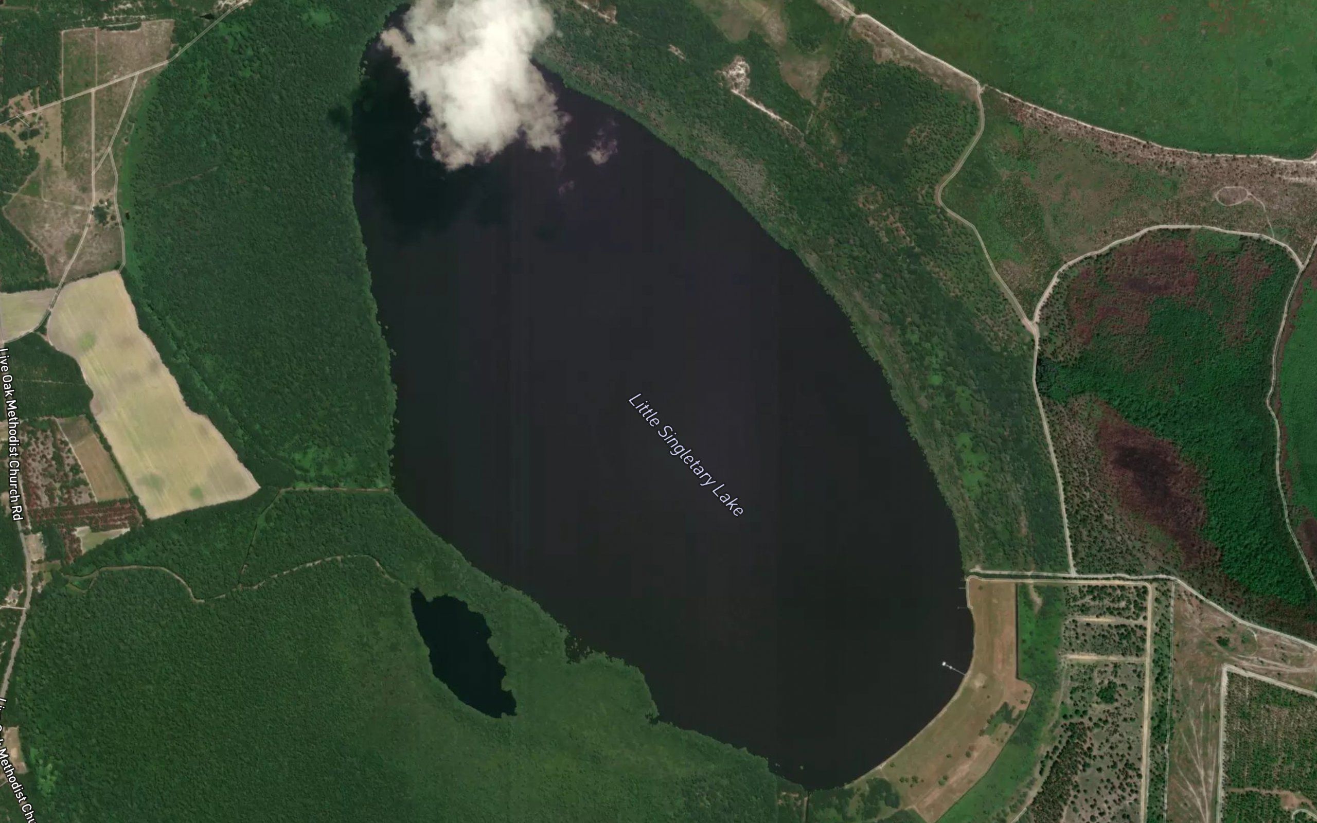 Little Singletary Lake