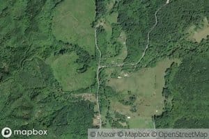 Left Fork Skamokawa Creek