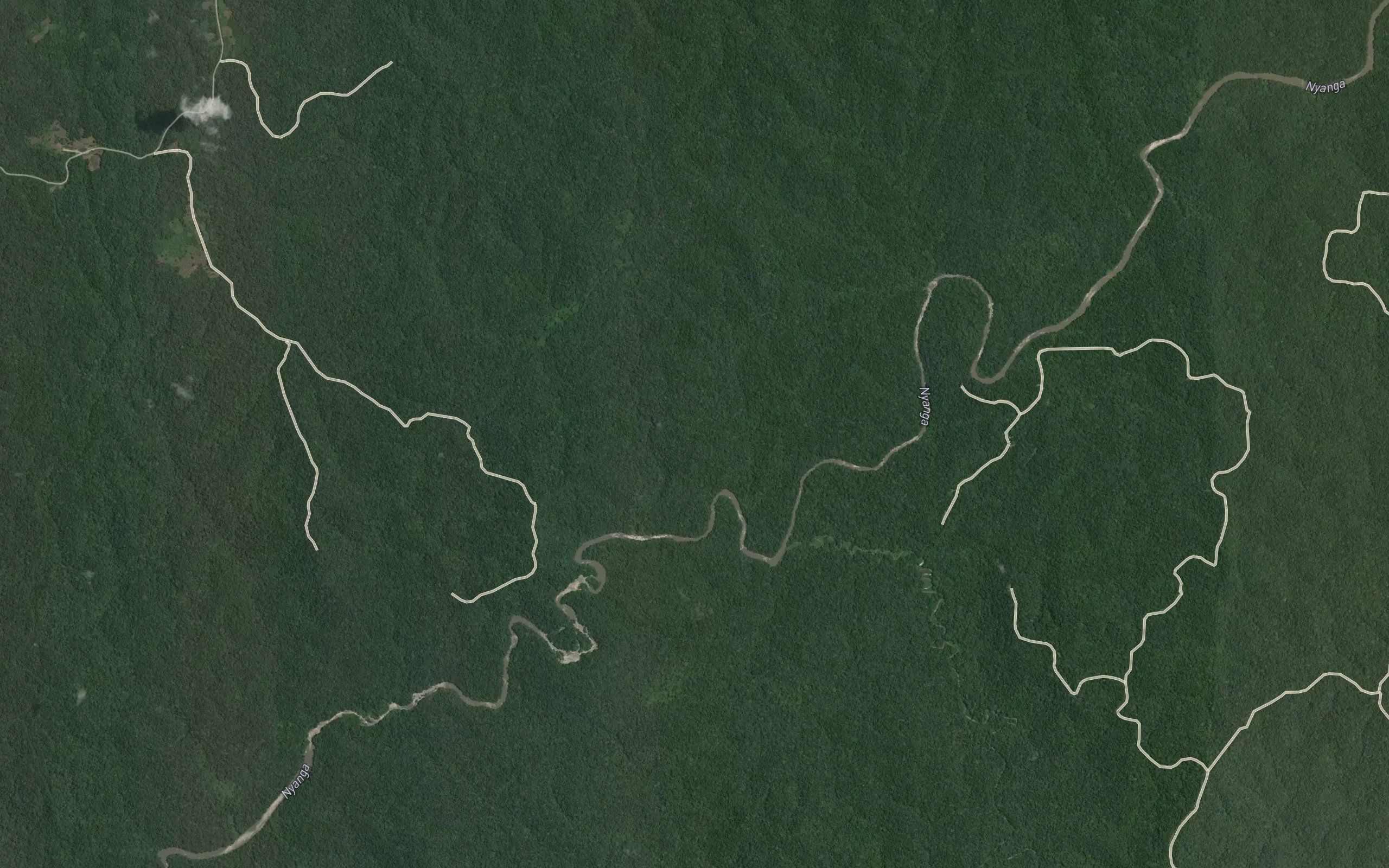 Louatiti