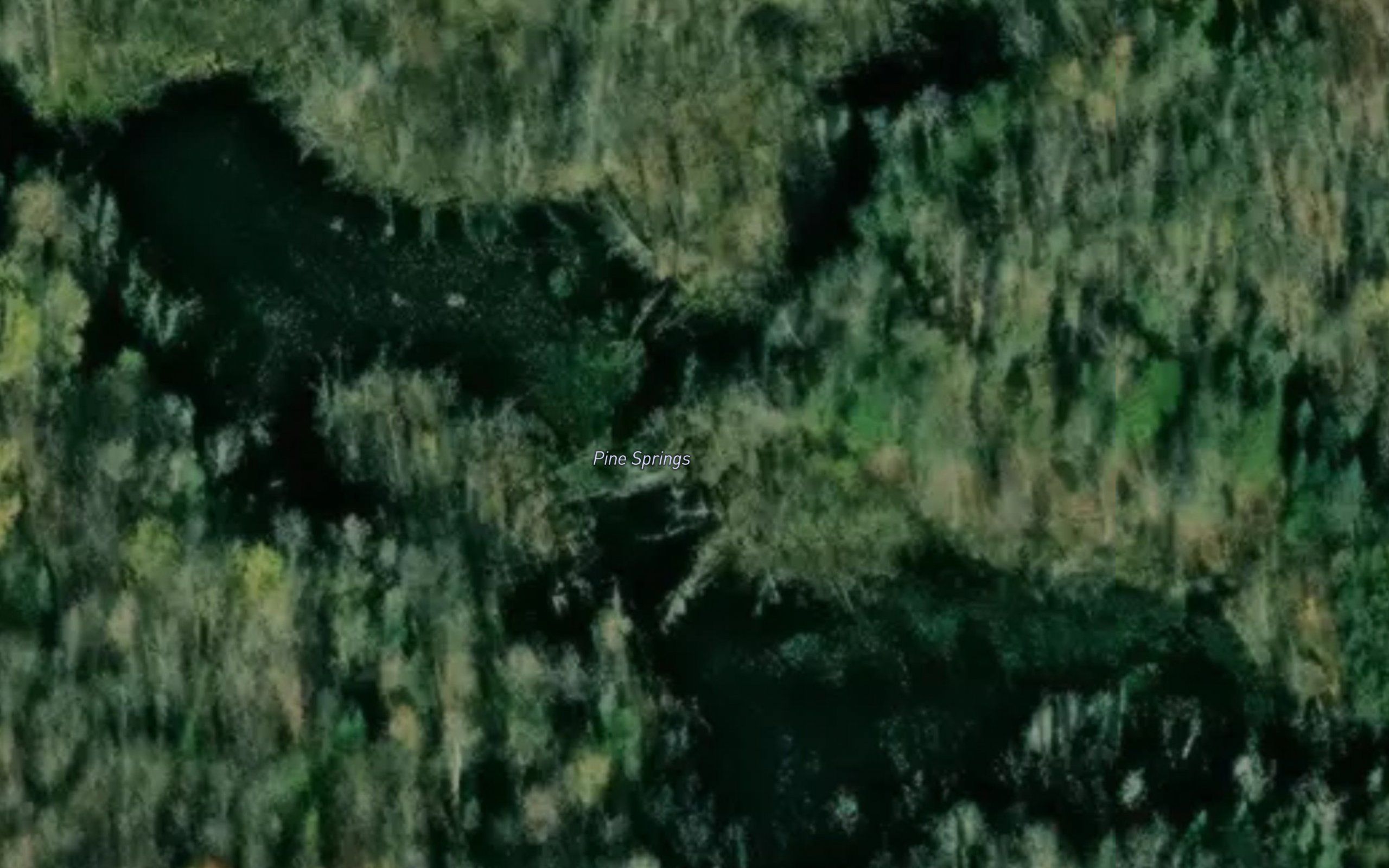 Pine Springs