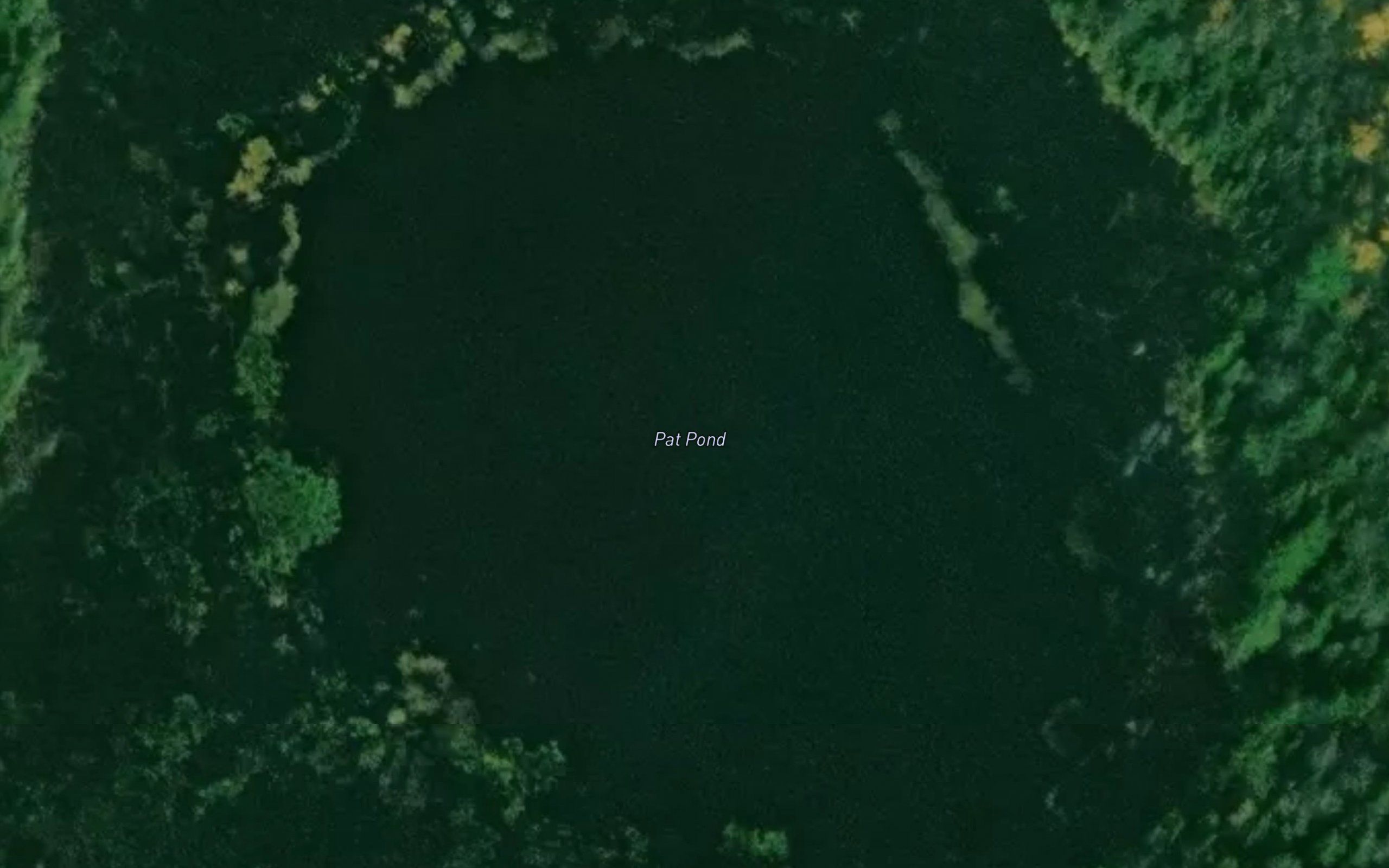 Pat Pond