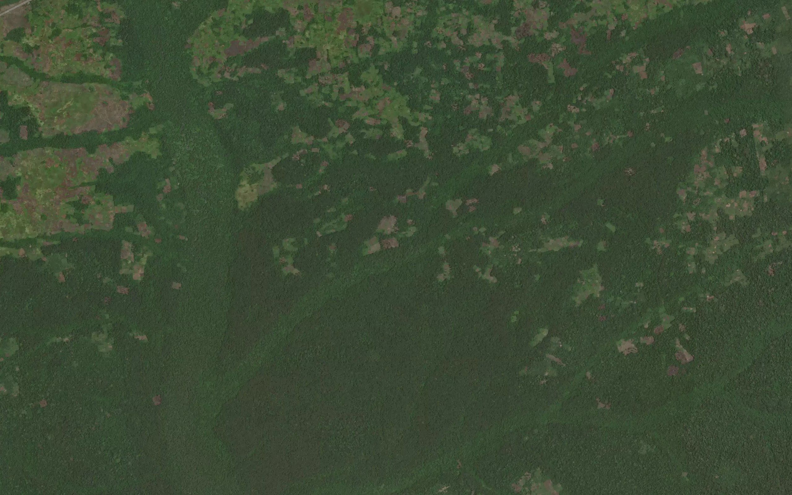 Ambongo