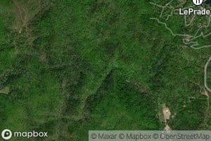 Gizzard Branch