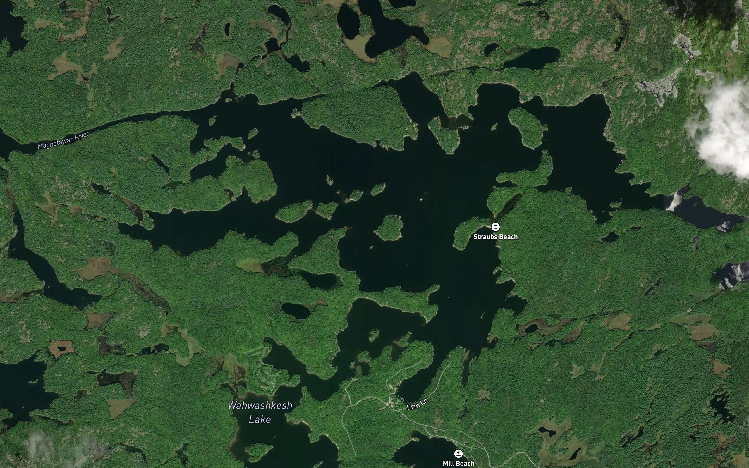 McCormicks Pond