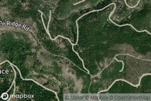 Chicken Hawk Spring