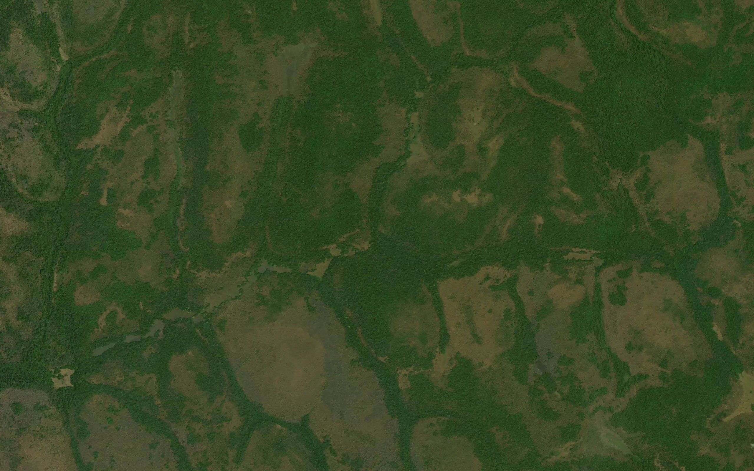 Dimbua