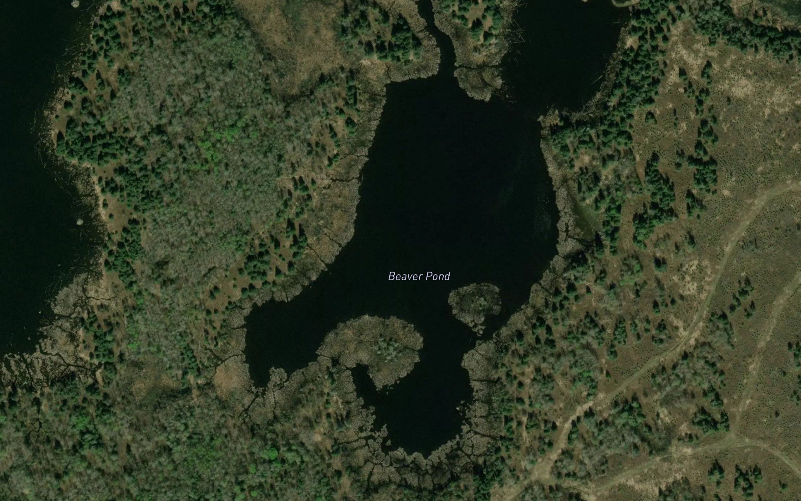 Beaver Pond