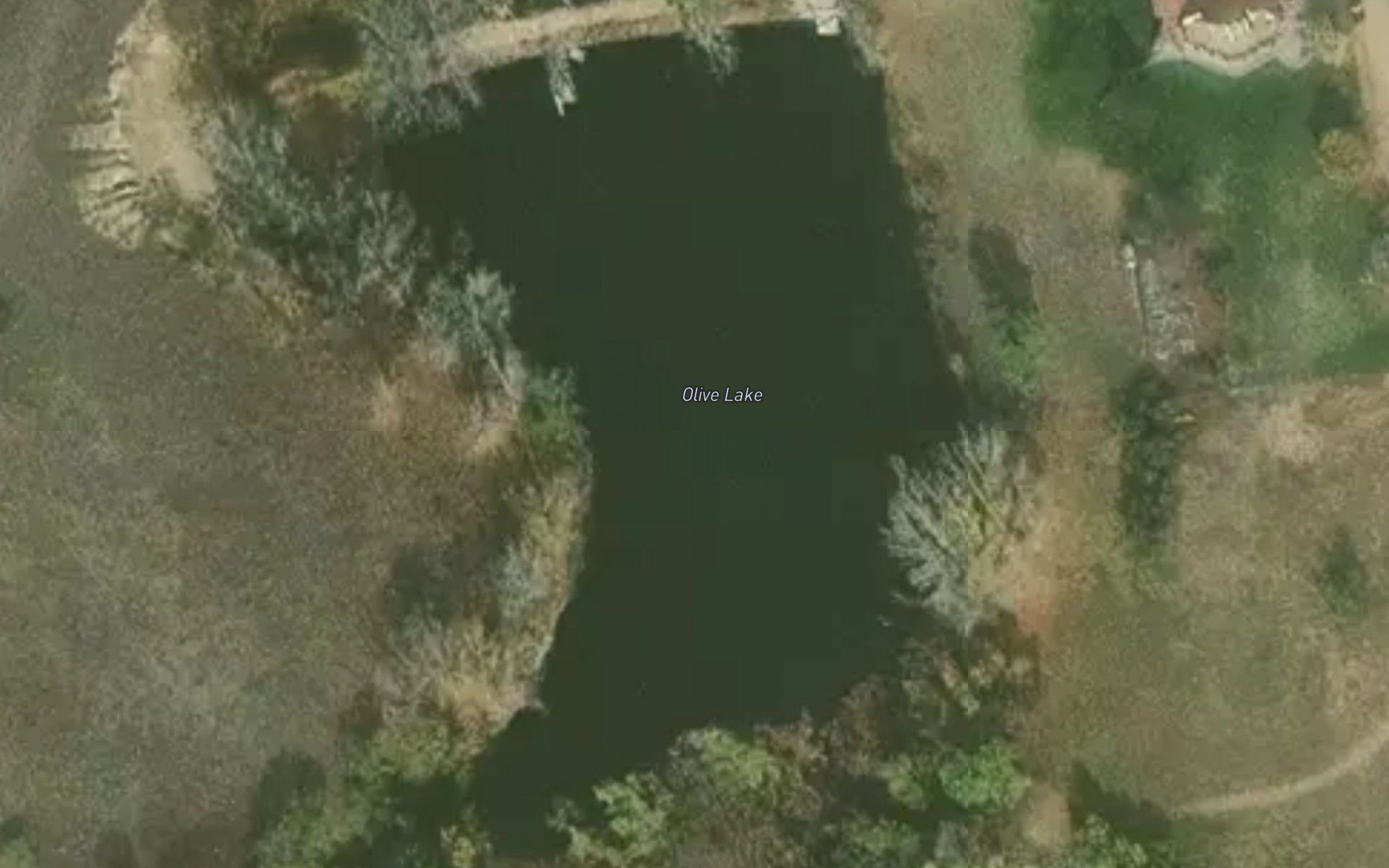 Olive Lake