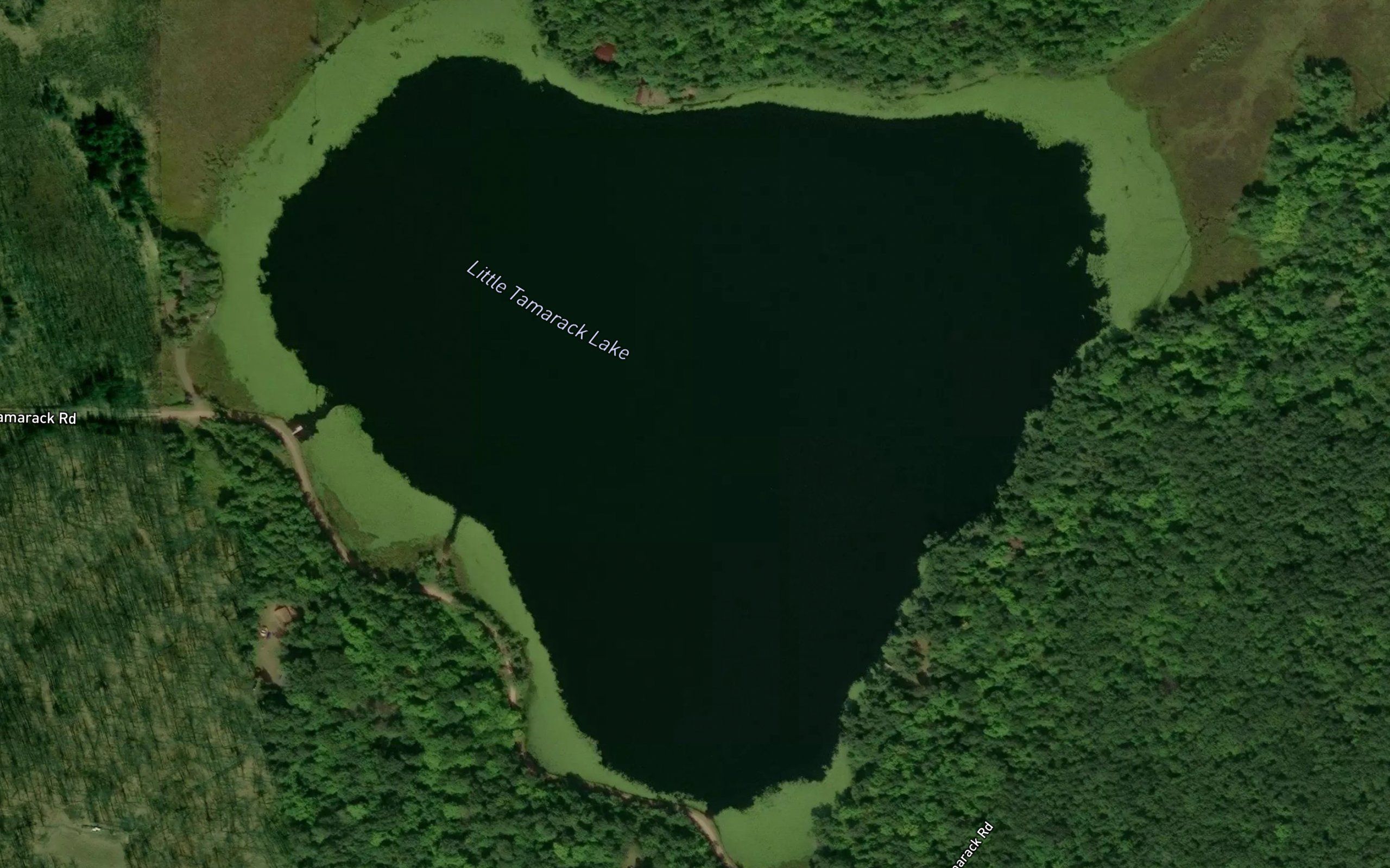 Little Tamarack Lake