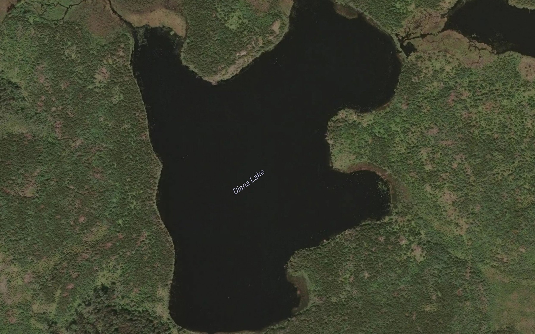 Satellite map of the Diana Lake