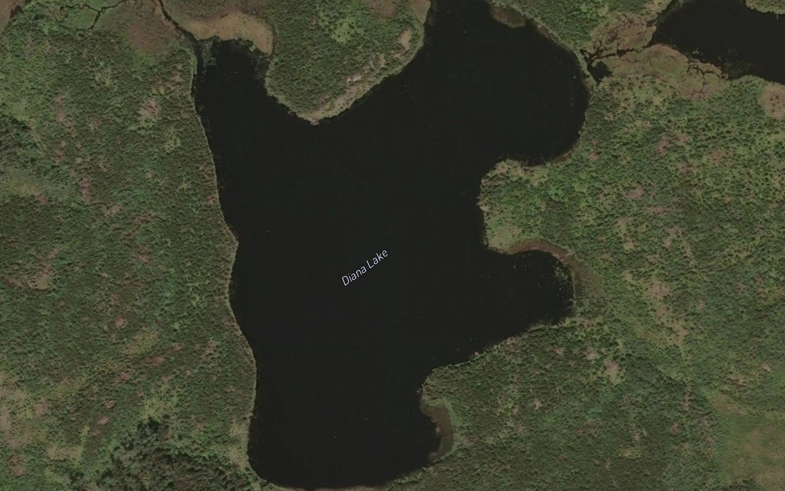 Diana Lake