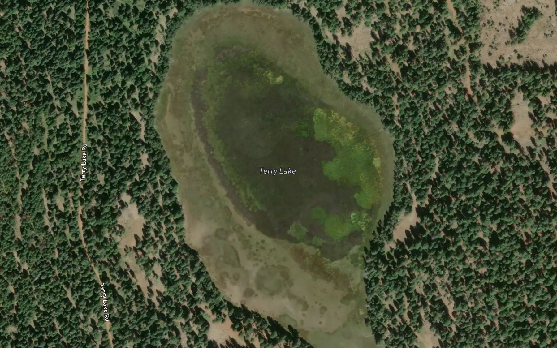 Satellite map of the Terry Lake