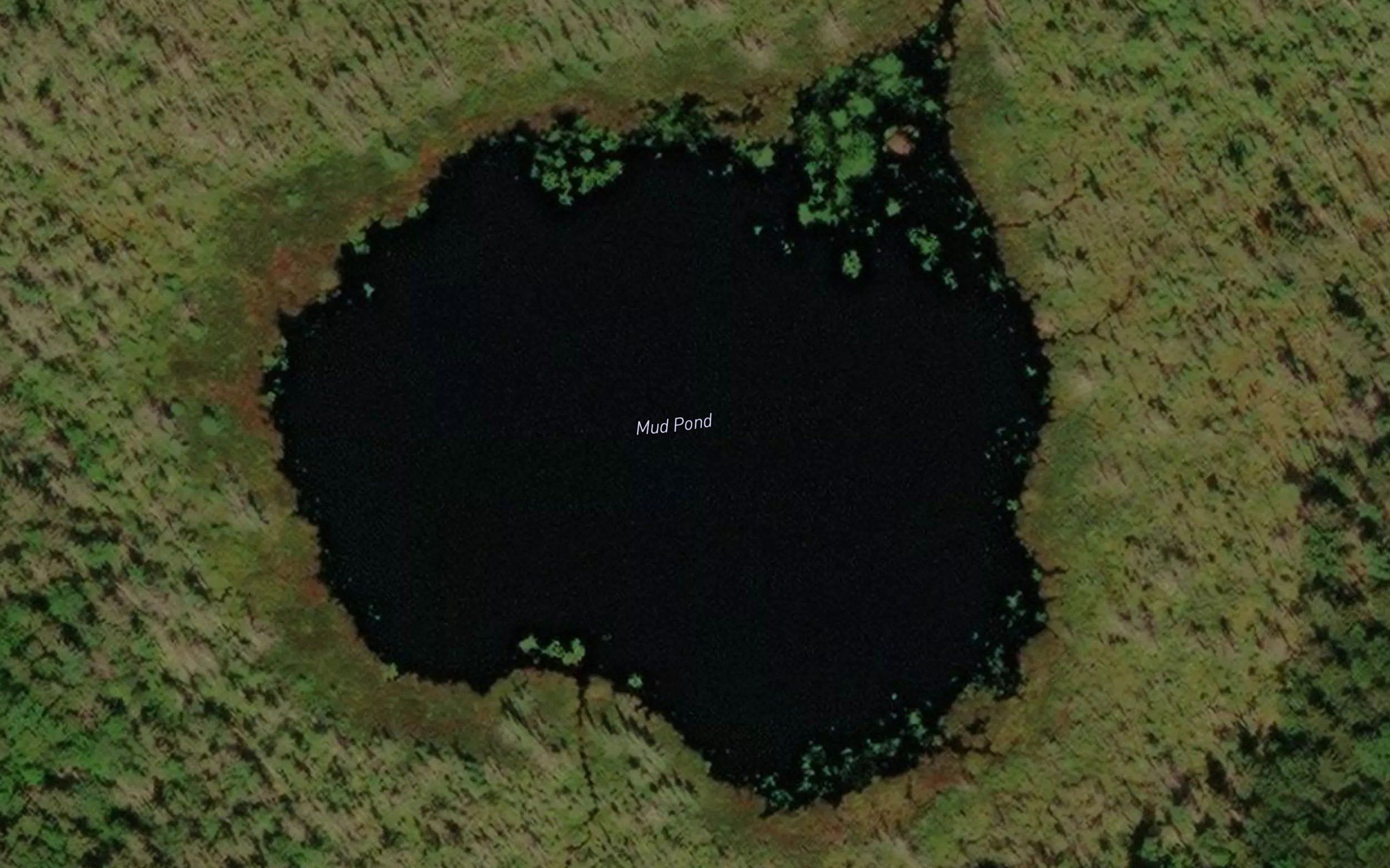 Mud Pond