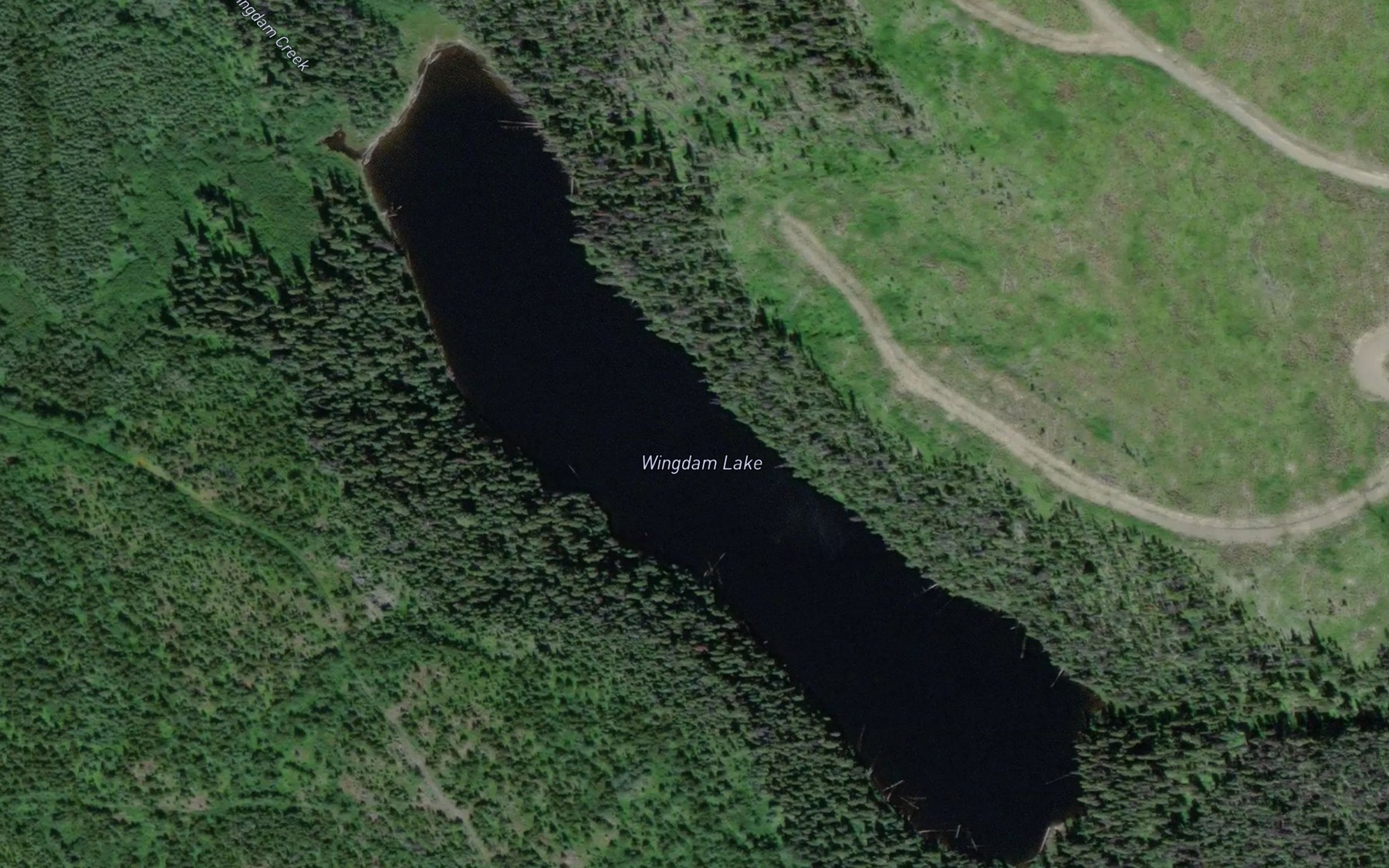 Satellite map of the Wingdam Lake
