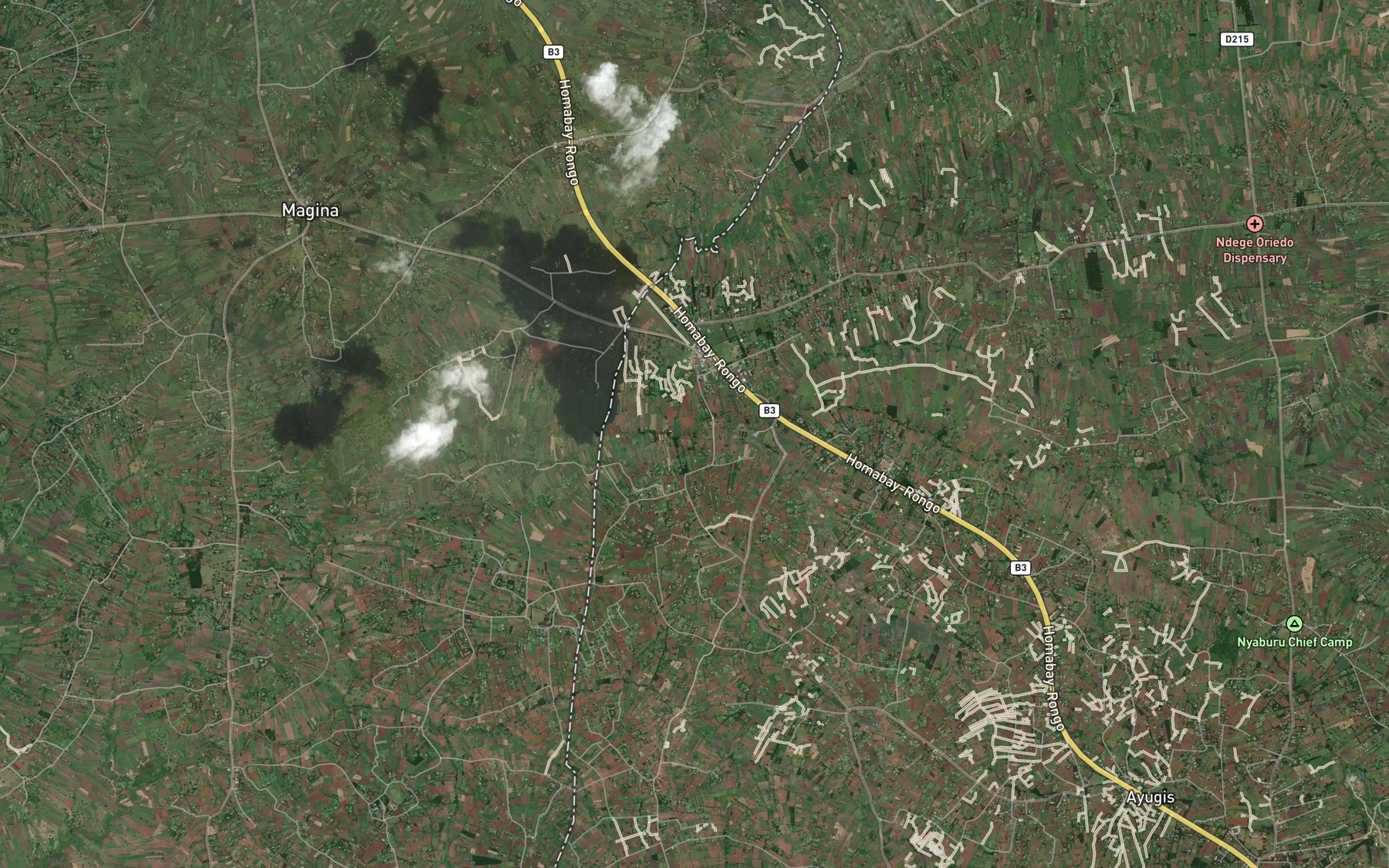 Satellite map of the Nyamuga