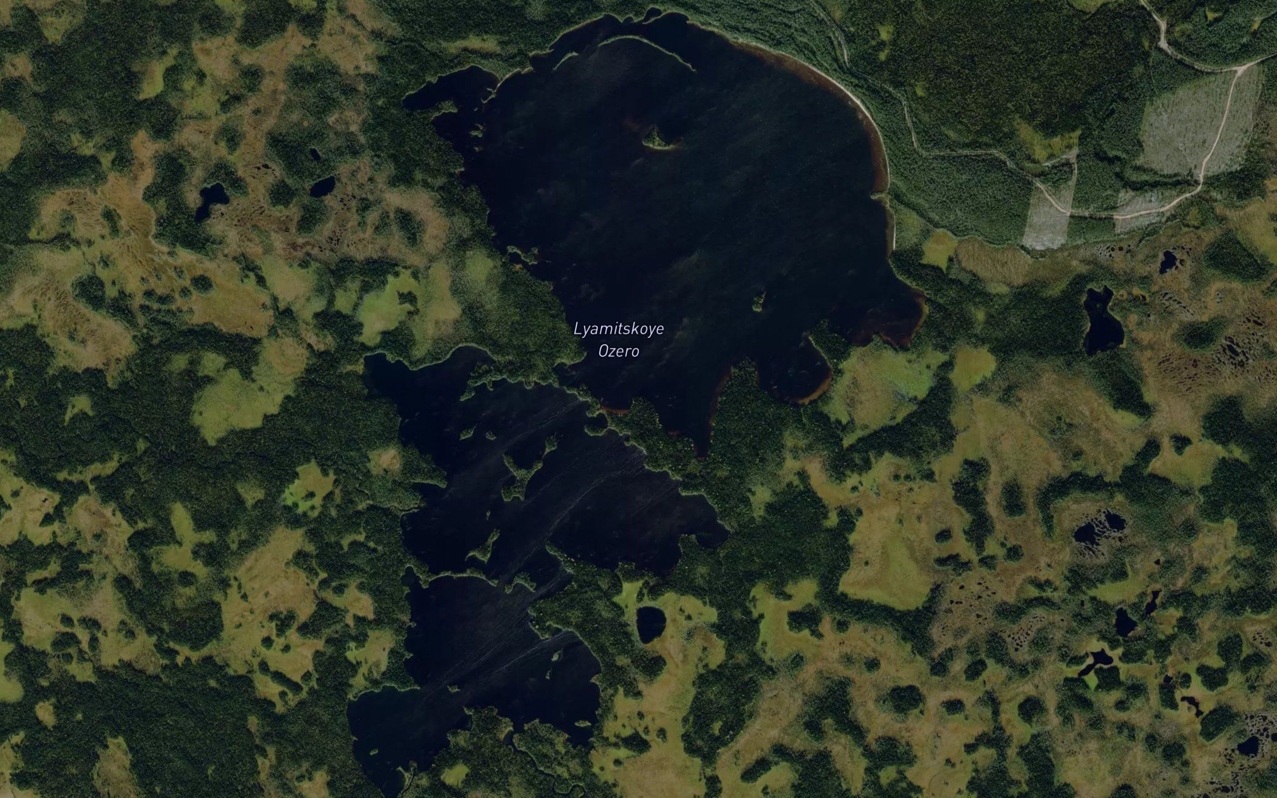 Lyamitskoye Ozero