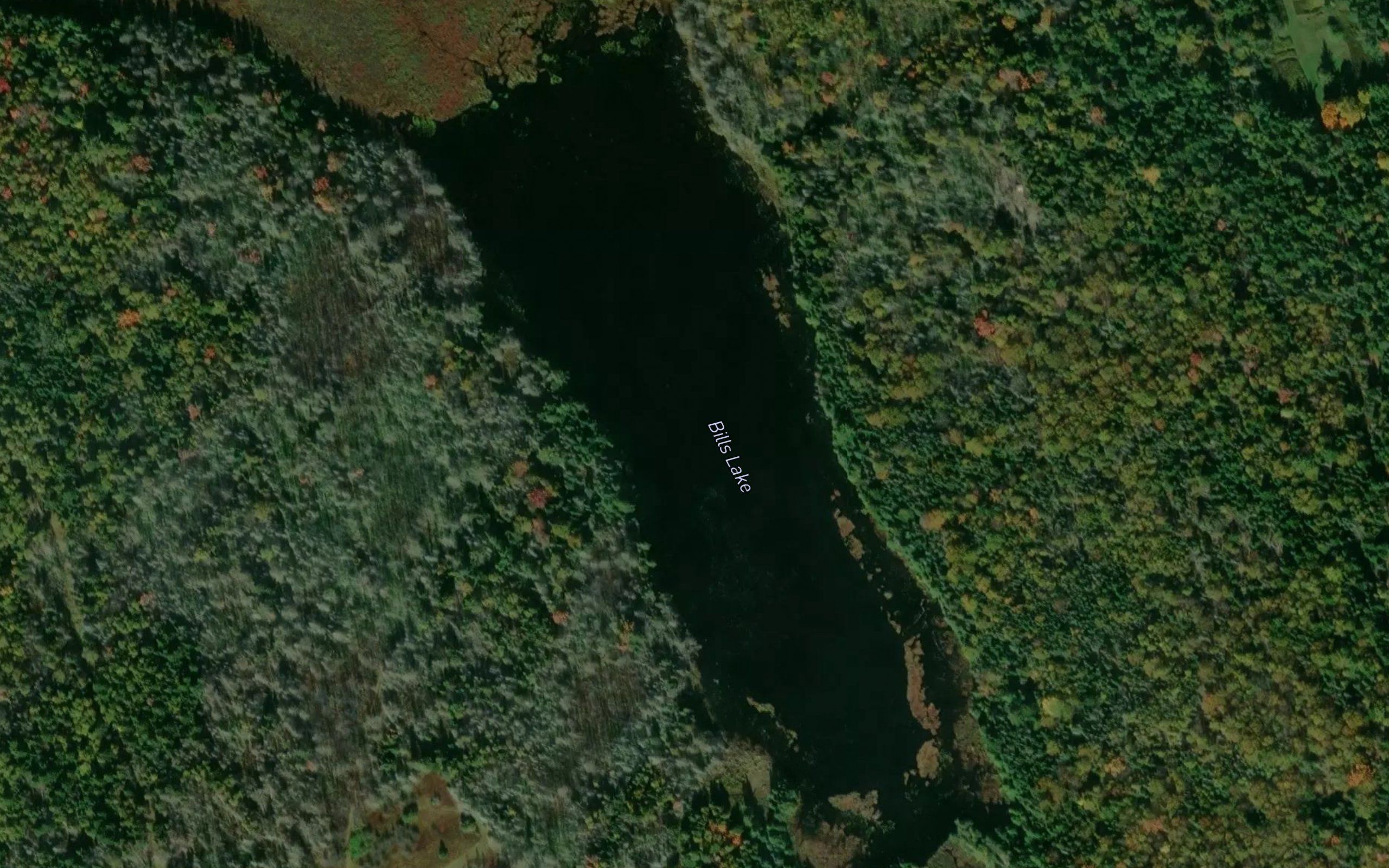 Bills Lake