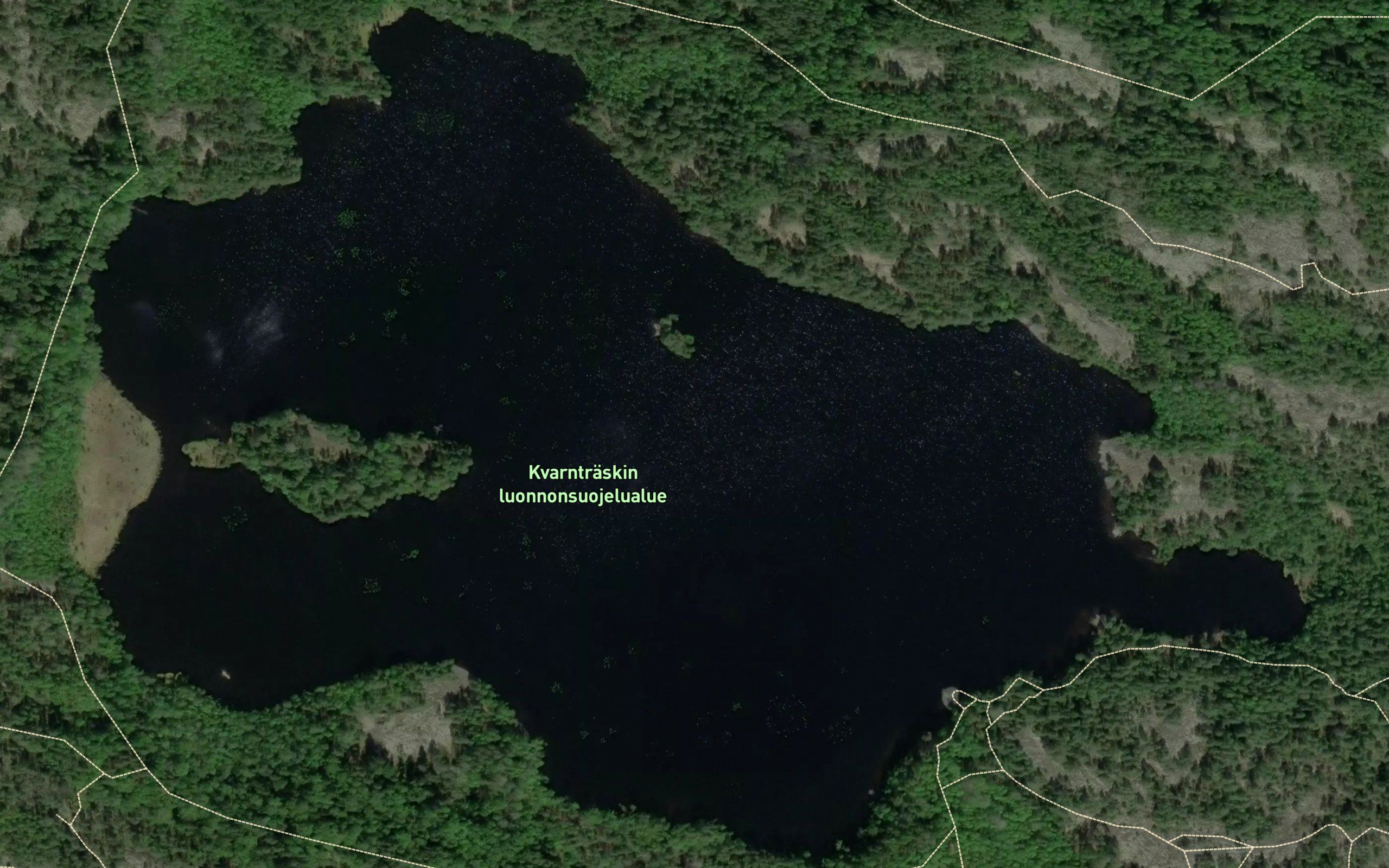 Kvarntrask