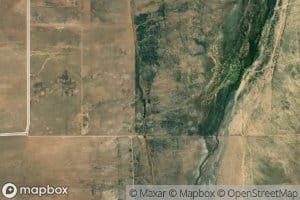 David Norris Spring (not official)