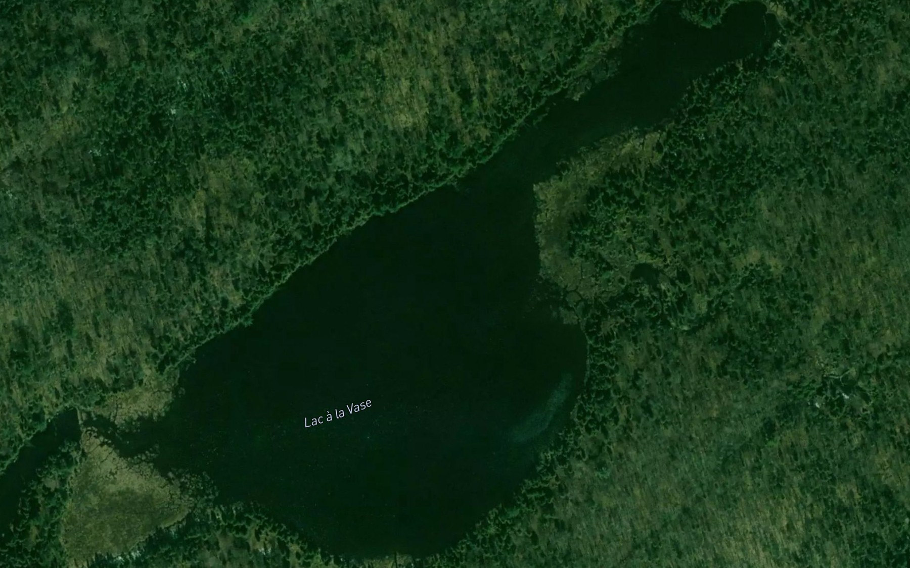 Satellite map of the Lac a la Vase