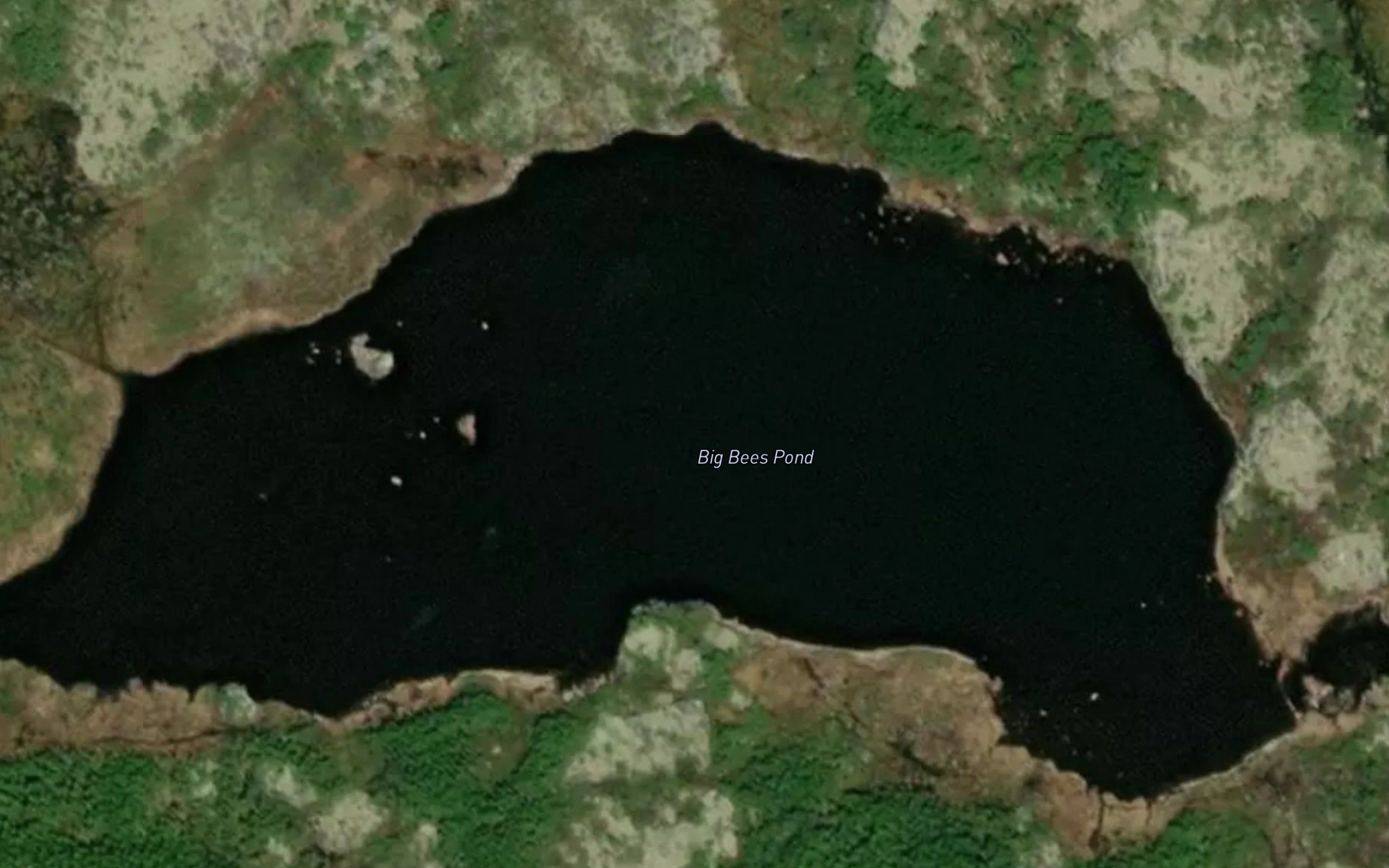 Big Bees Pond